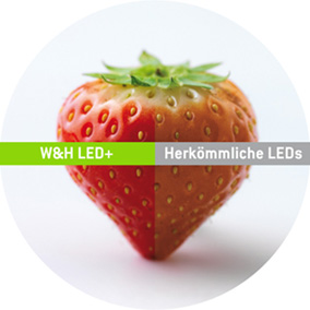 W&H LED+
