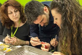 Dr. Dimitrios Papadimitriou