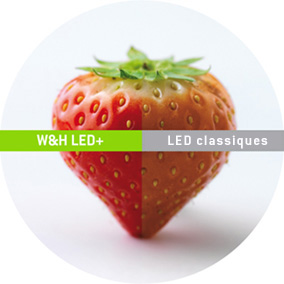 W&H LED+