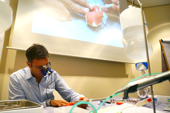 bone & tissue days Berlin – W&H Technologie im Fokus | W&H