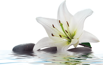 W&H Hygien & Underhåll