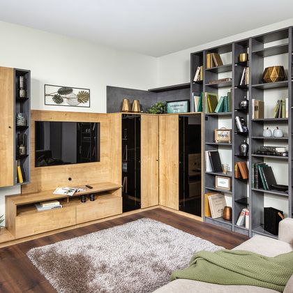 Wohnwand mit Bibliothek