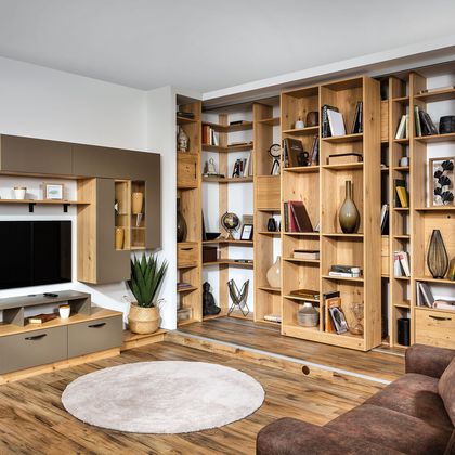 Wohnwand mit Bibliothek