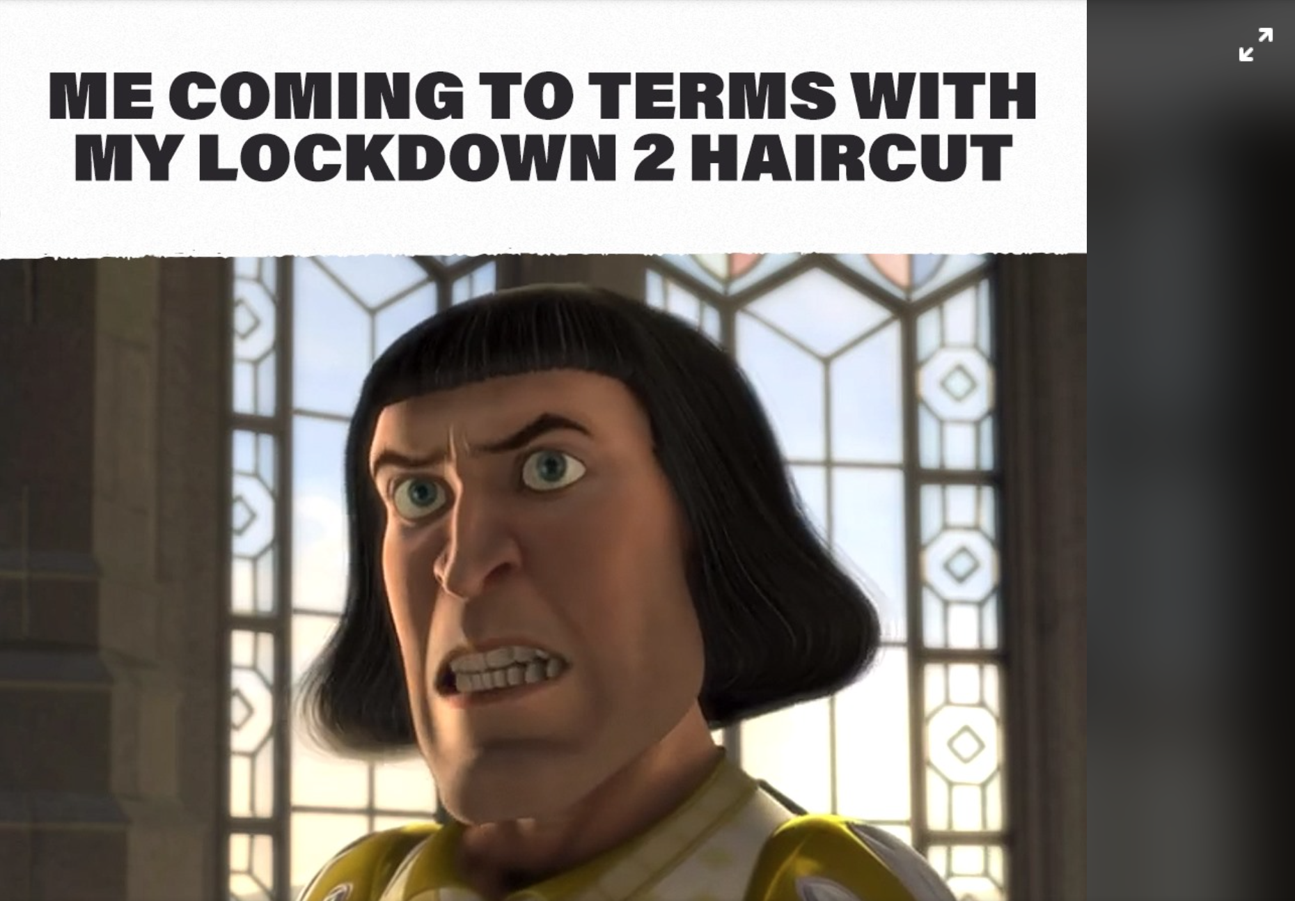 Your Guide To Social Media Marketing Memes Adjust