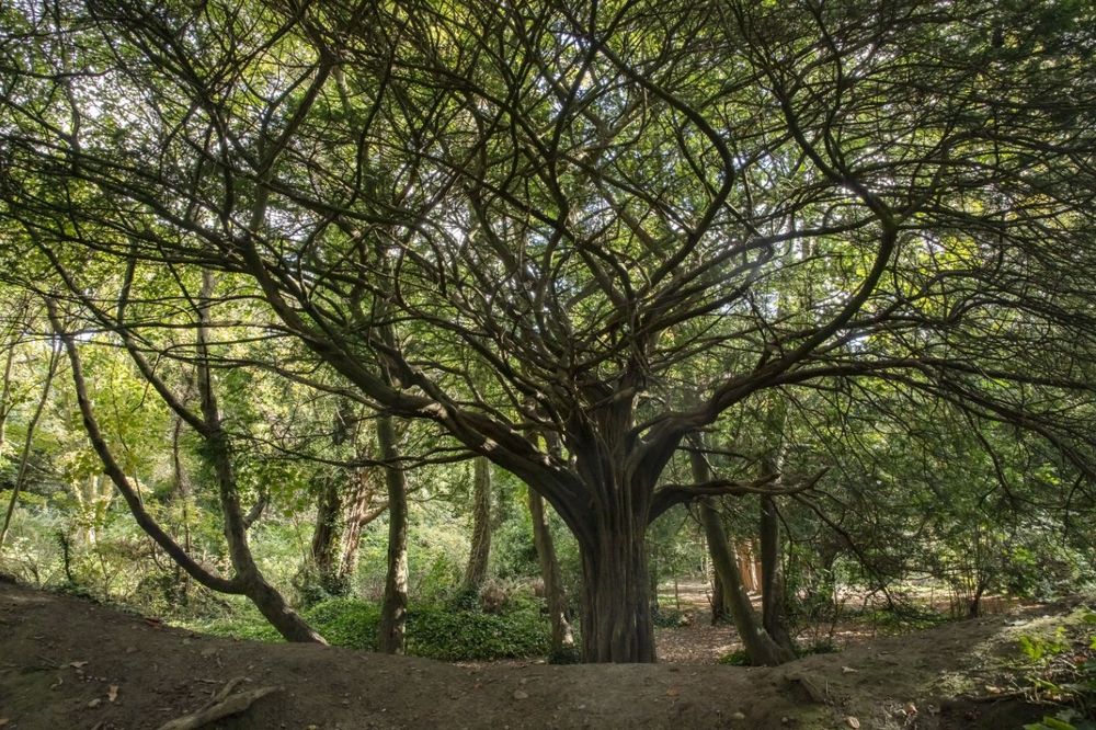 About the Biosphere Award | Dublin Bay Biosphere