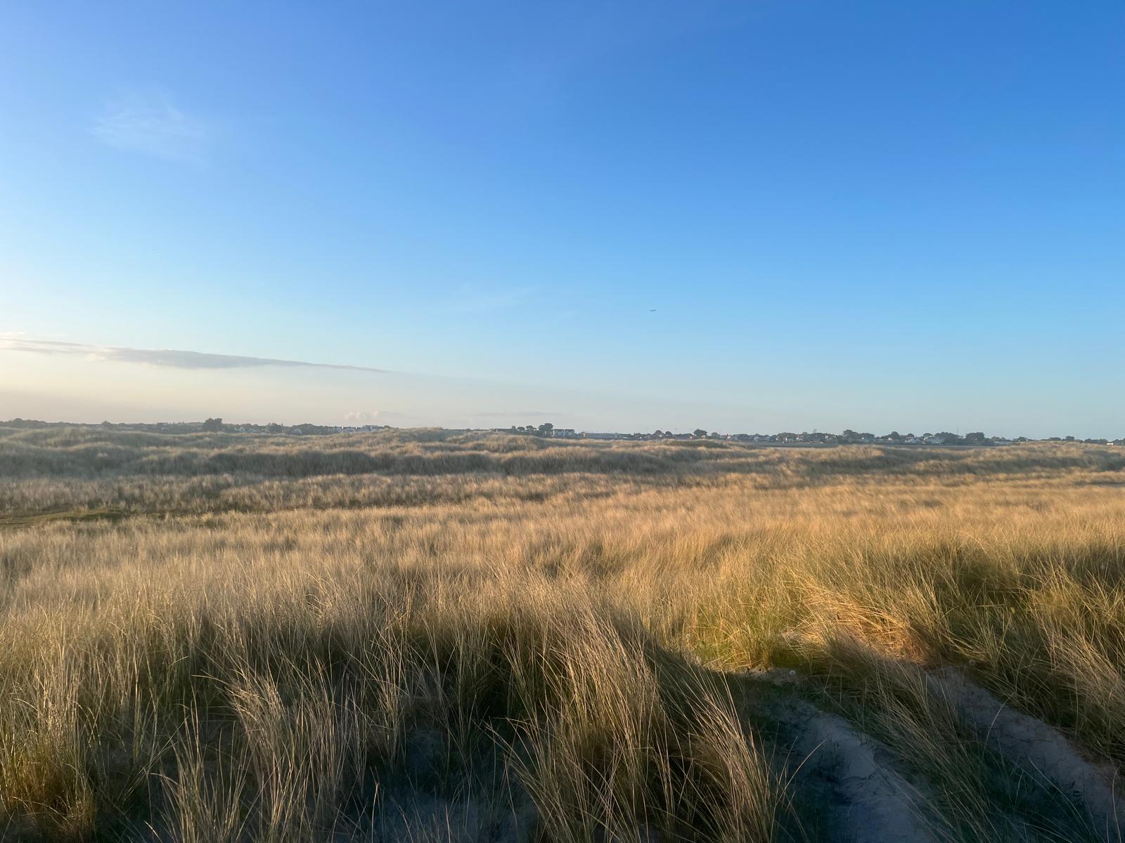 Dune Action Training