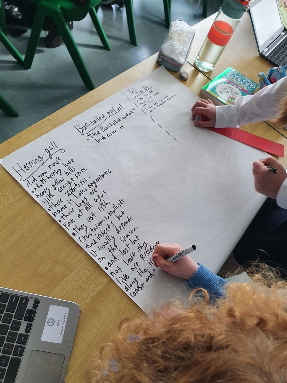 Sample Projects | Dublin Bay Biosphere