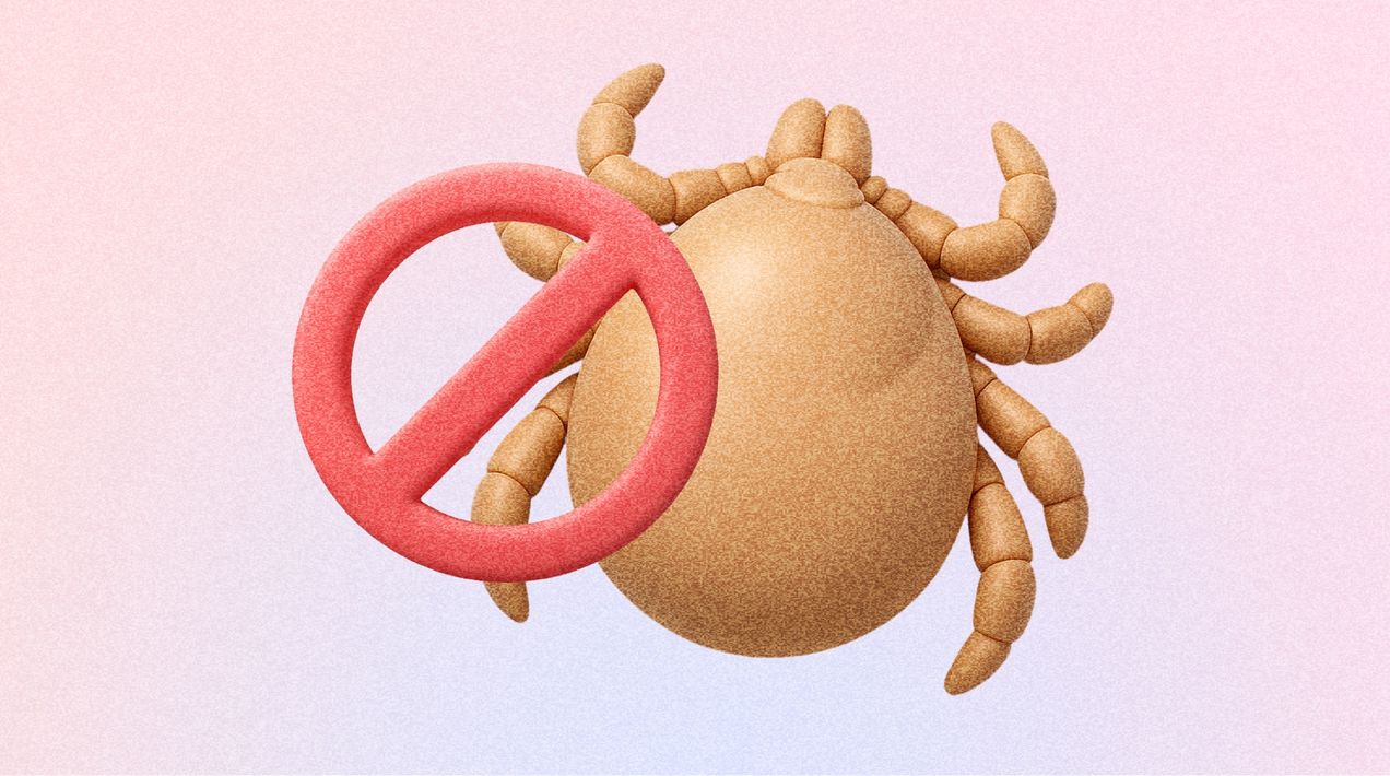 Нужно ли сдавать анализы после укуса клеща?