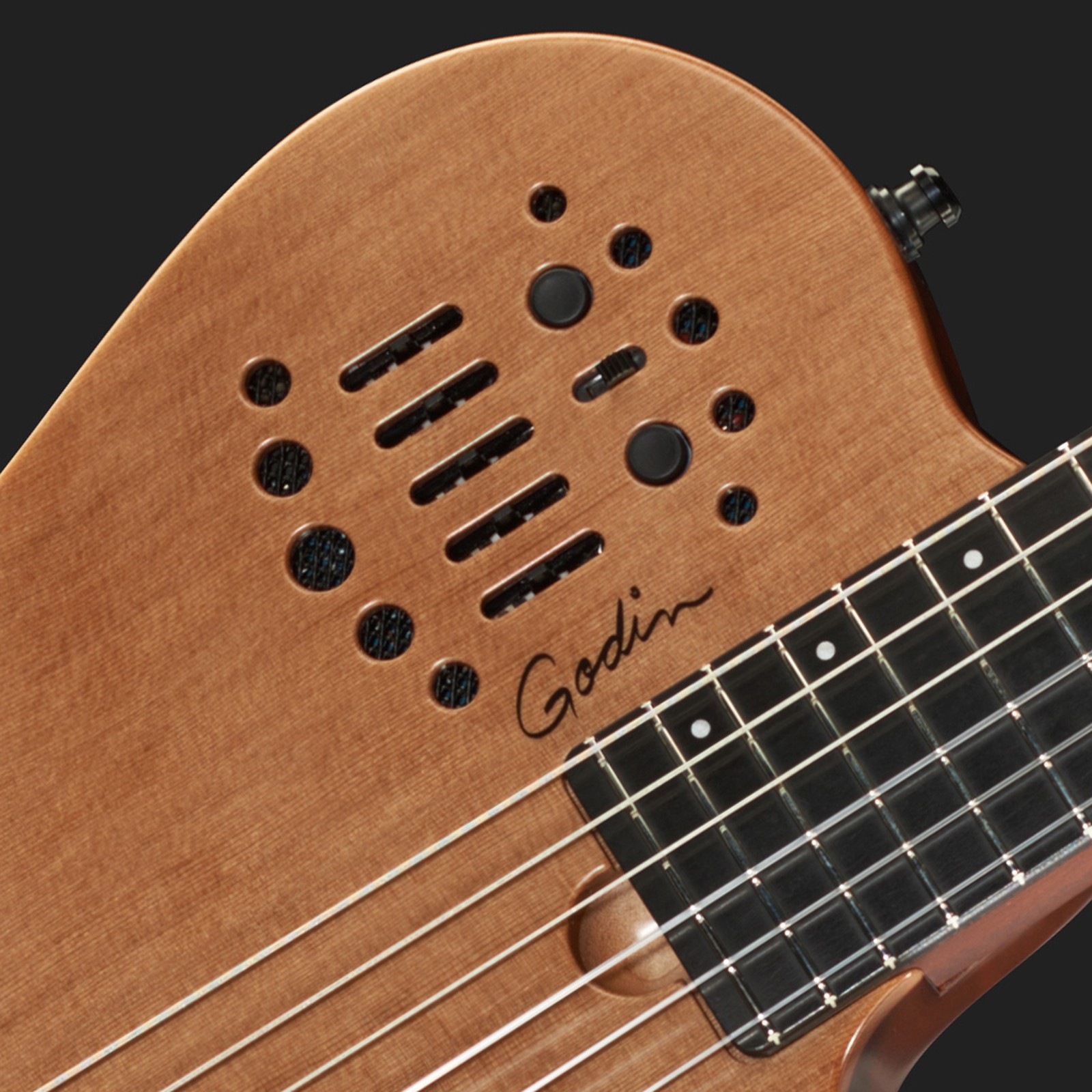 Nylon Konzert/E-Gitarre von Godin
