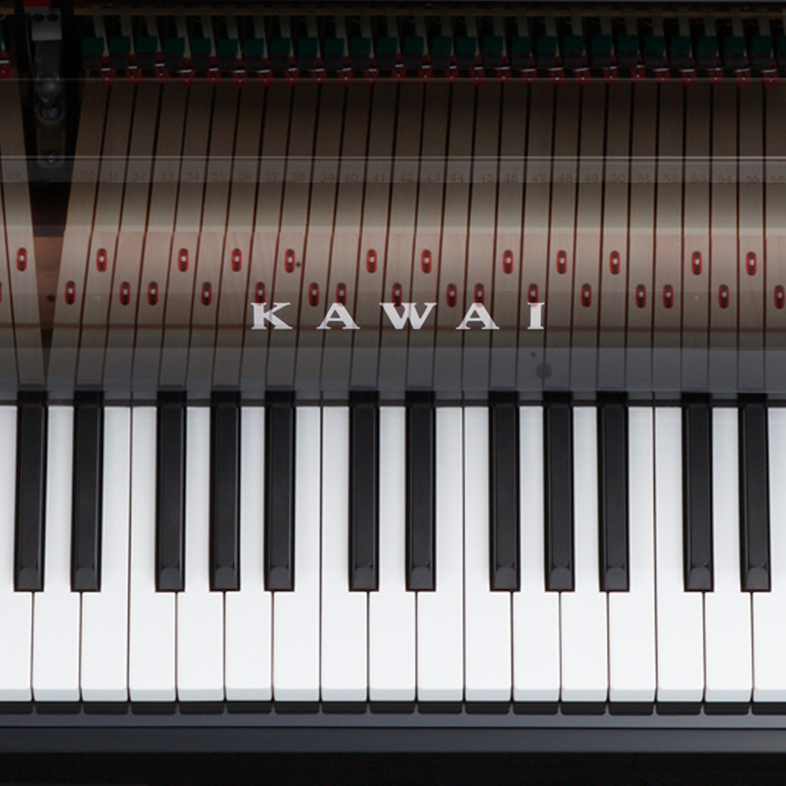 Kawai Novus NV-5S Hybridpiano Tastatur