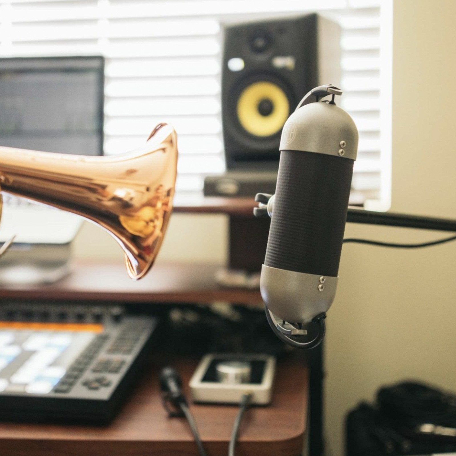 AEA R92 Ribbon Microphone