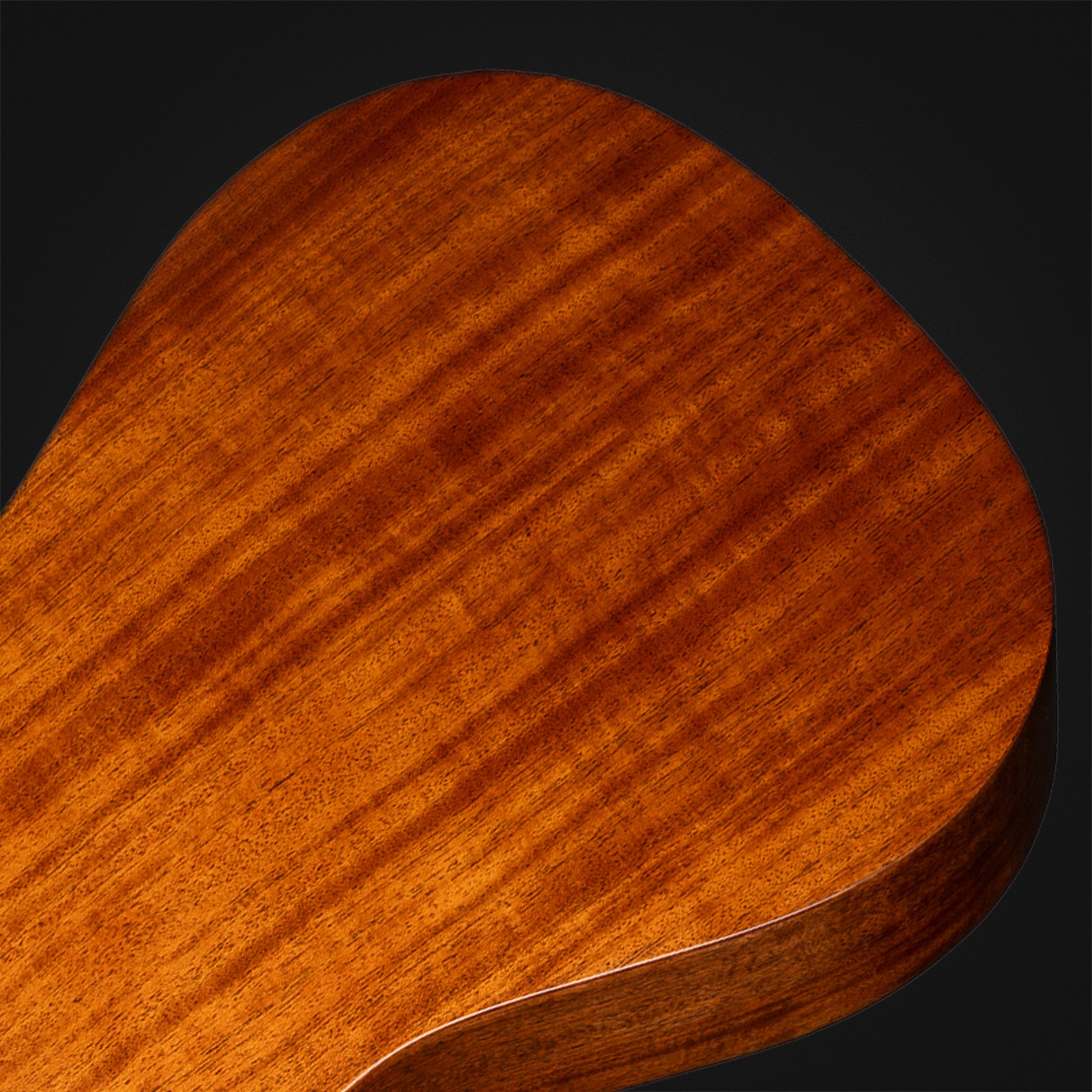 Rückseite der Martin Guitars D17 LH