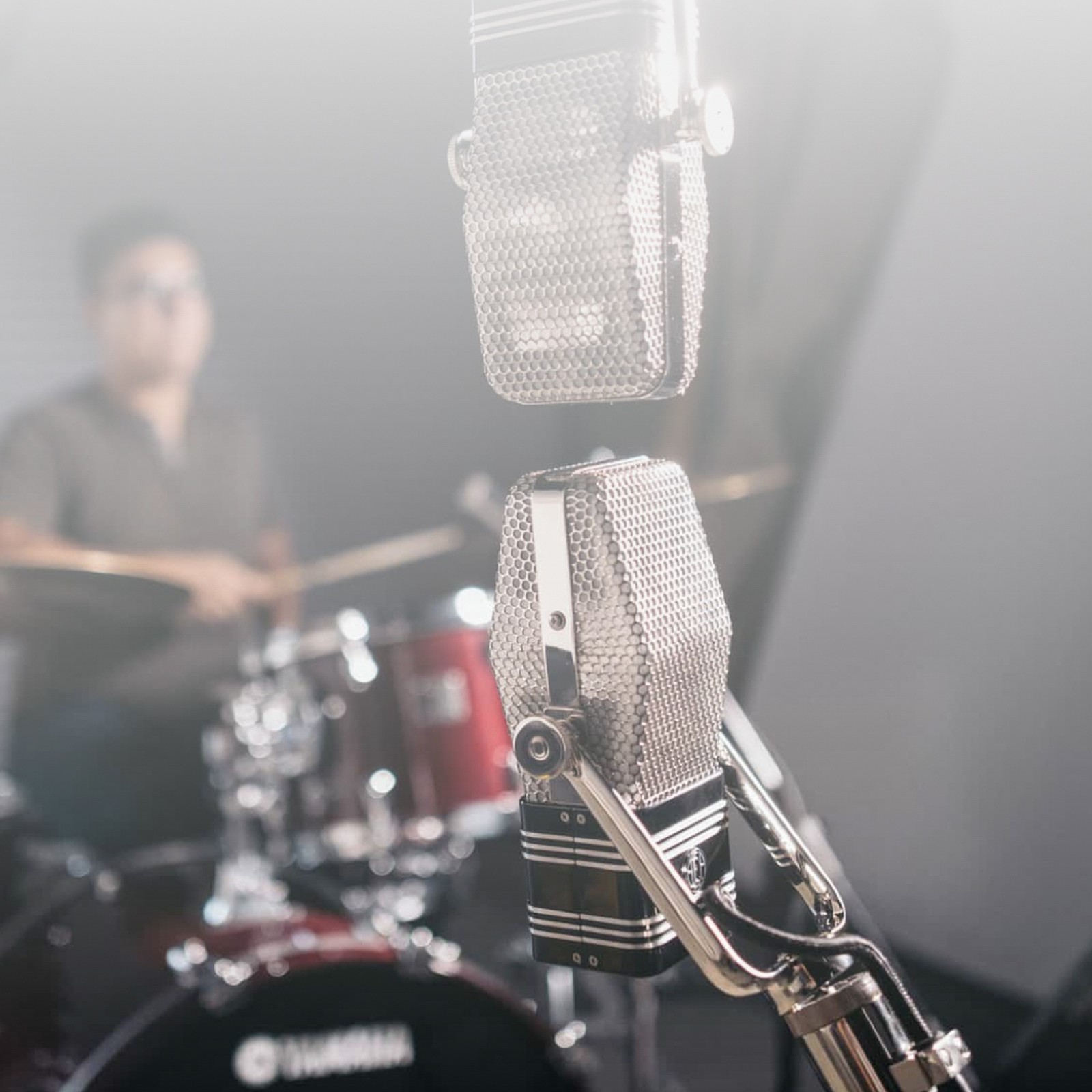 AEA R44C Bändchenmikrofon