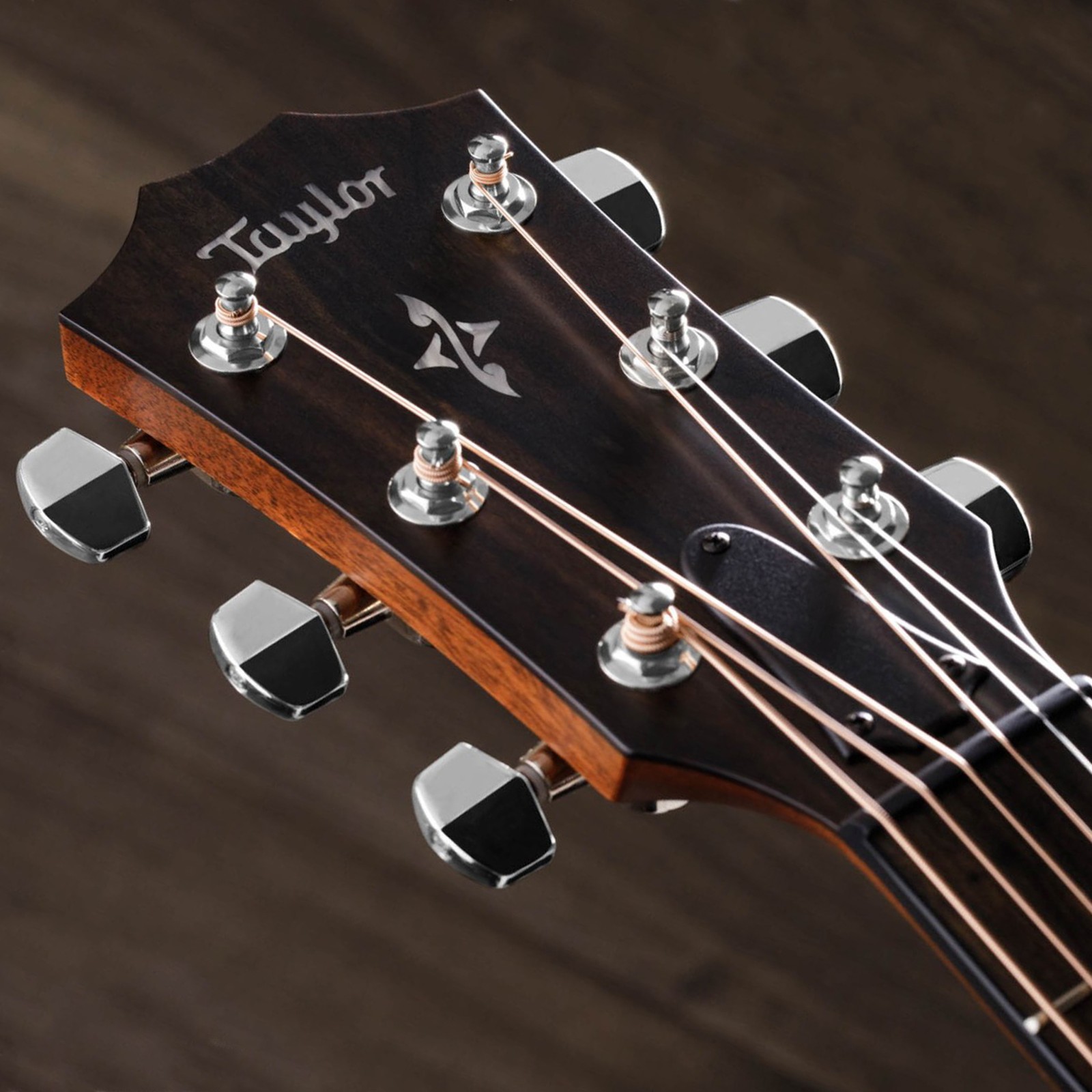 Plaque de tête de la guitare Western de Taylor
