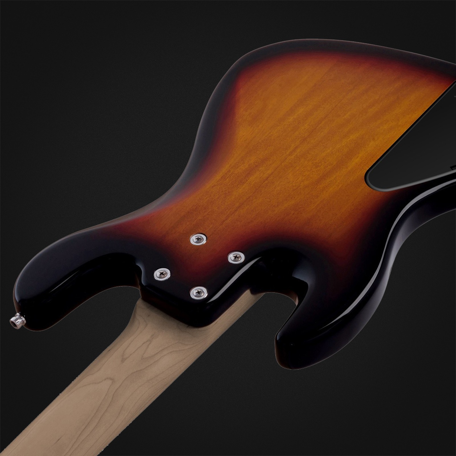 Rückseite des Sadowsky MetroExp21 Vintage JJ5 RM TSB