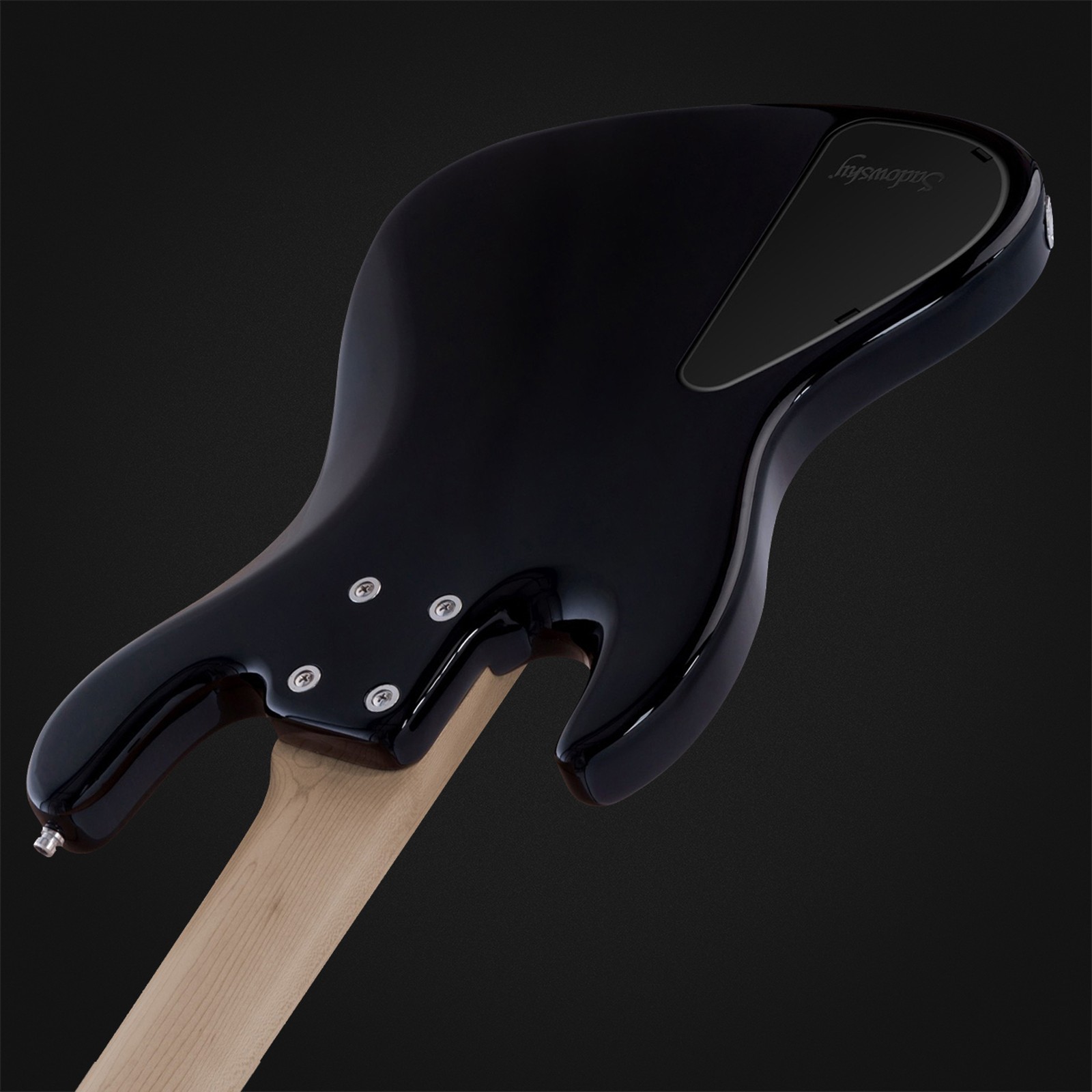 Sadowsky MetroExp21 HybPJ5 RM BK, five-string bass guitar, rear view