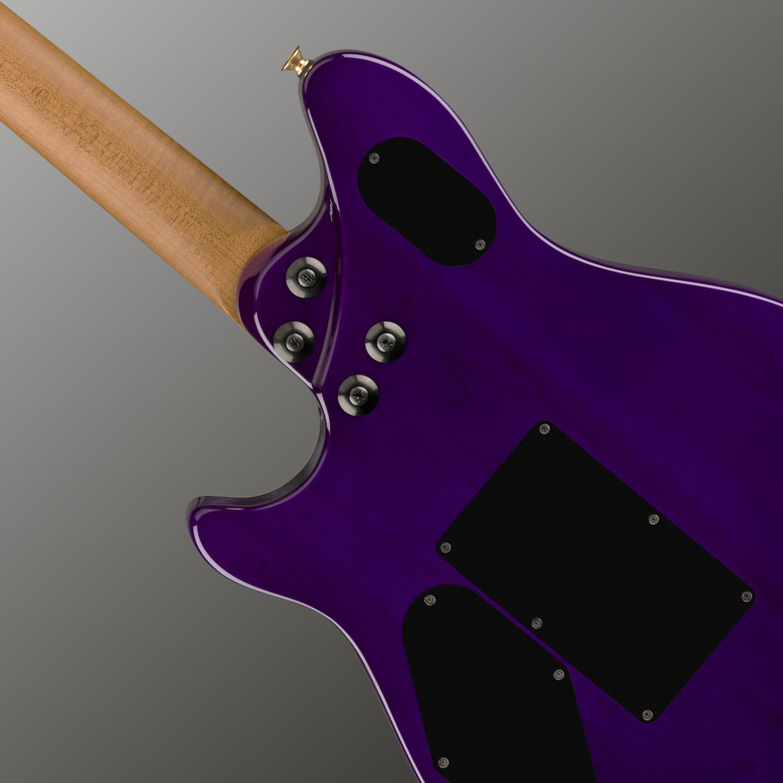 Rückseite mit geschraubtem Hals an der Evh Wolfgang Special QM Purple Burst