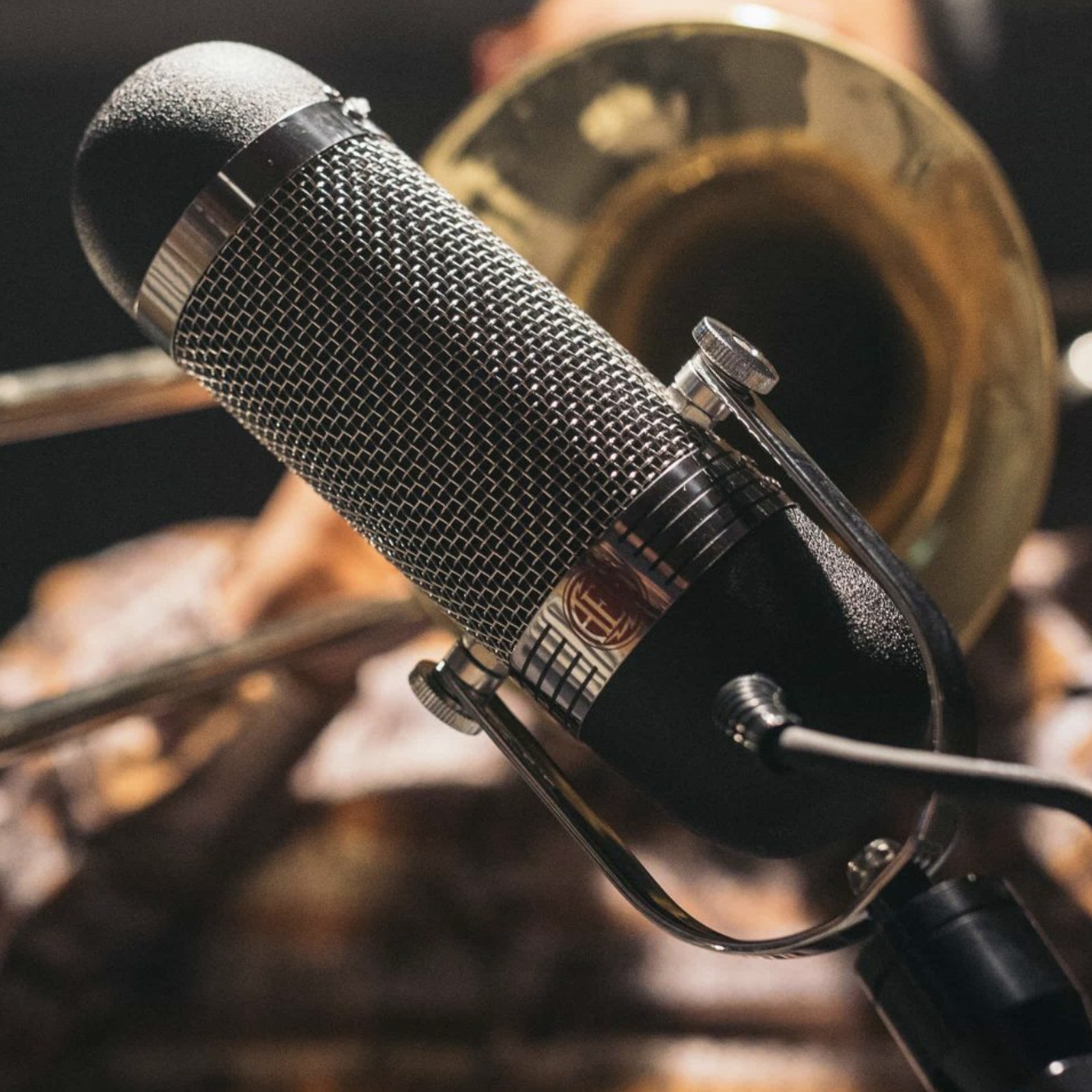 AEA R84 Bändchenmikro