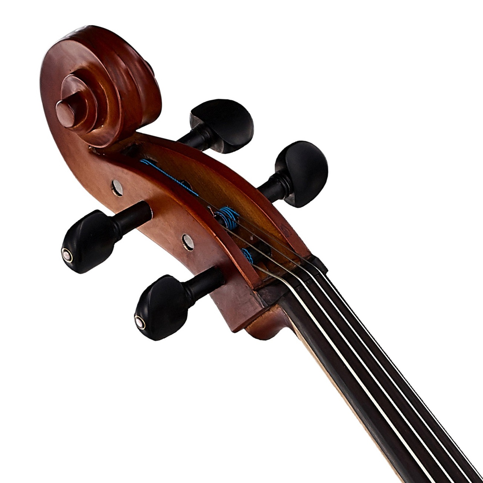 Headstock of the Thomann Classic Cello 4/4