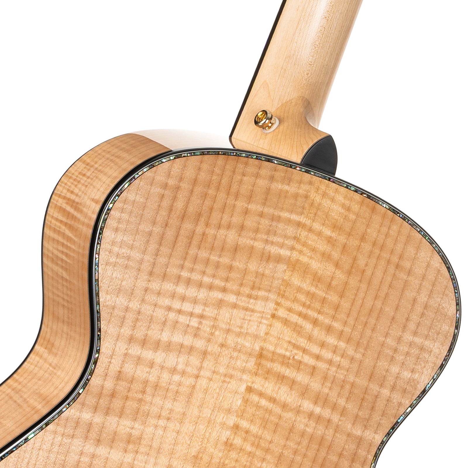 Cort Gold Passion Halsübergang