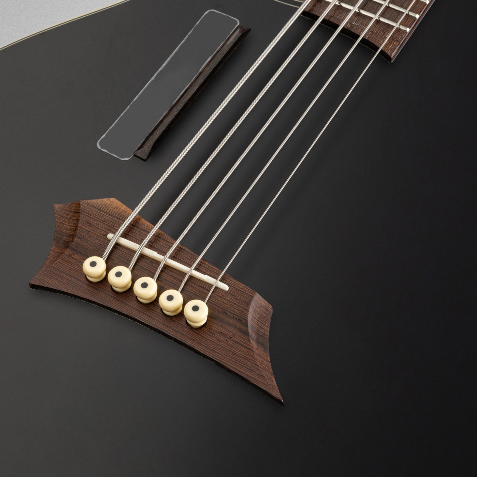 Top, Warwick Alien Deluxe 5 Hybrid Thinline, five-string acoustic bass