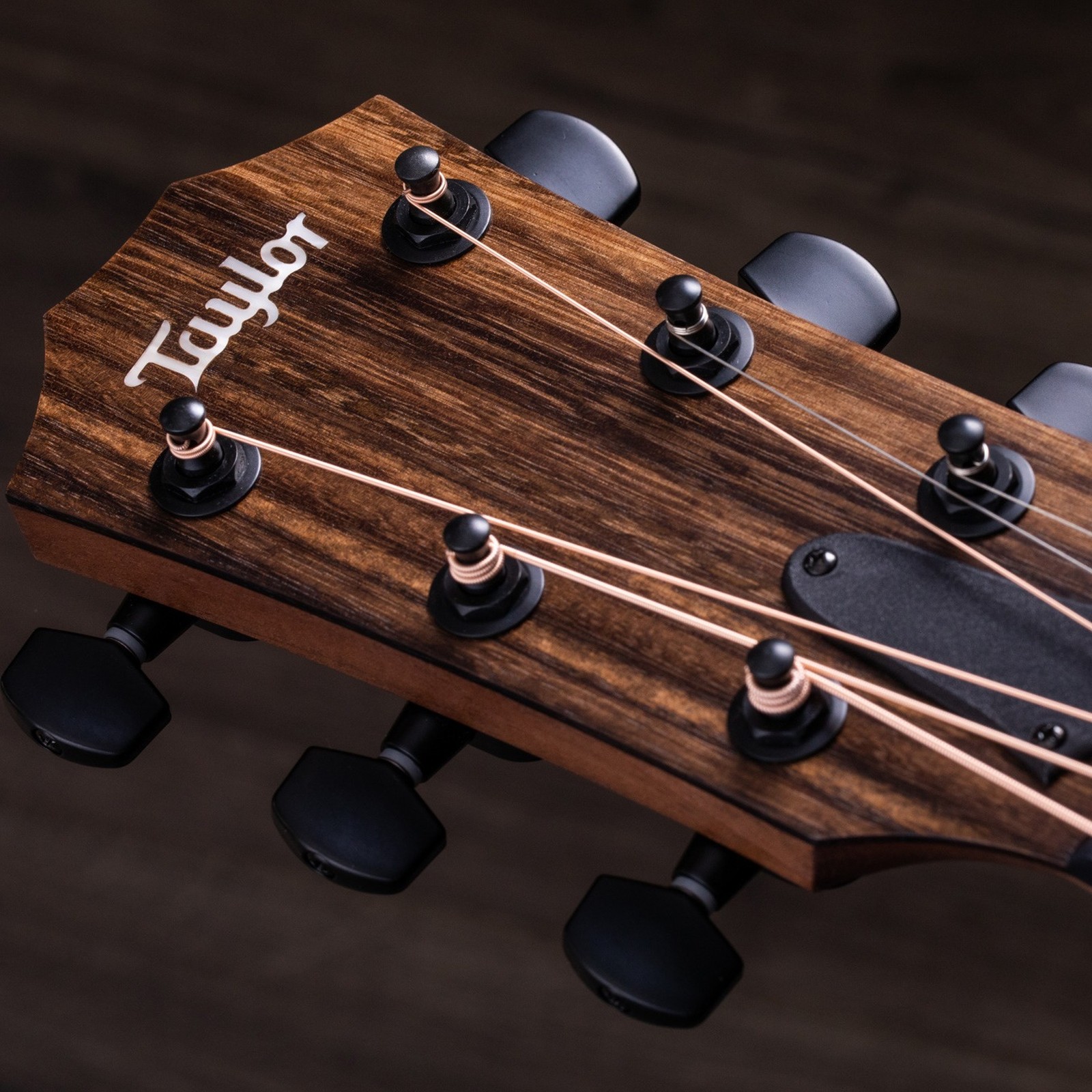 Taylor Westerngitarre Kopfplatte