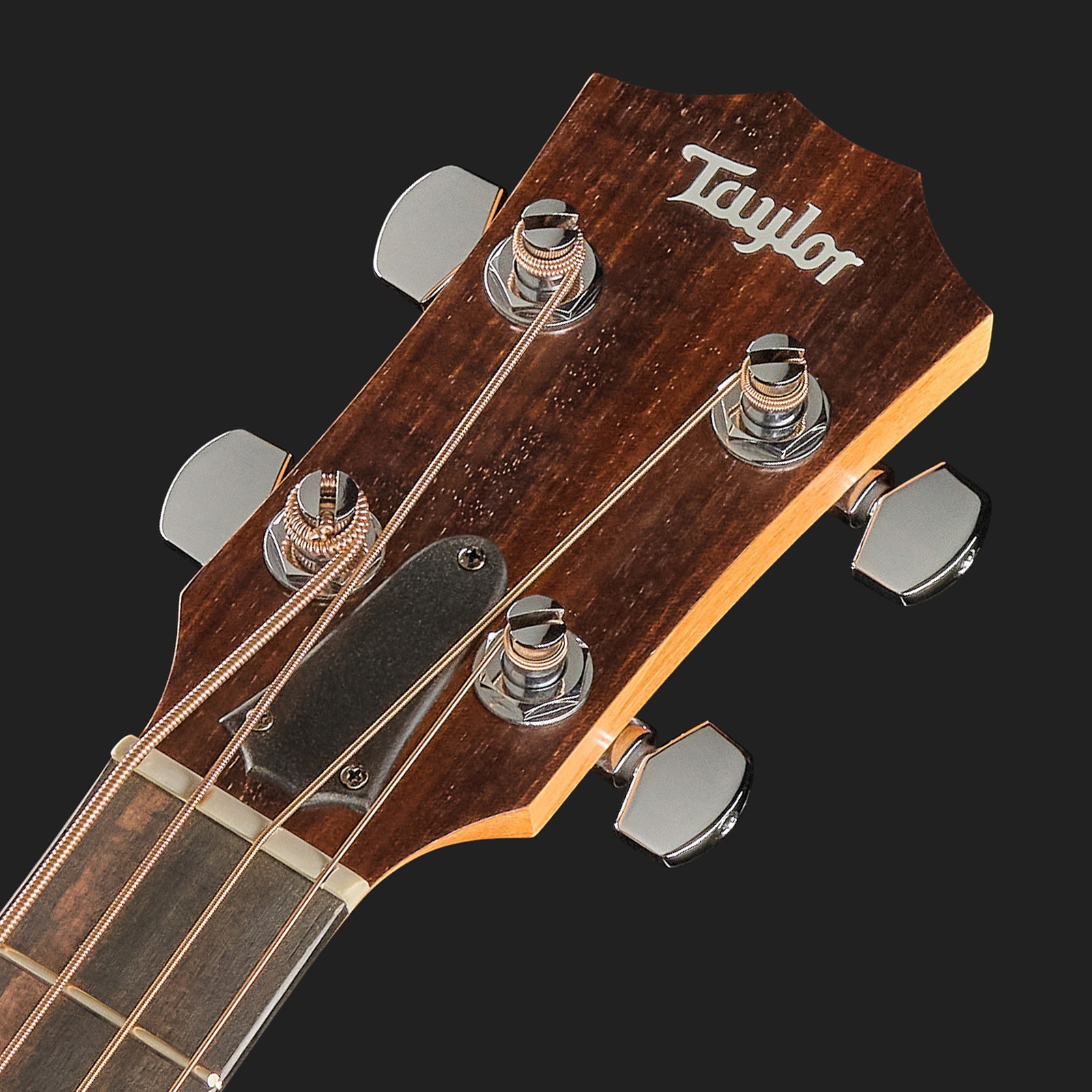 Taylor GS Mini-e Koa Bass Detail Kopfplatte Logo