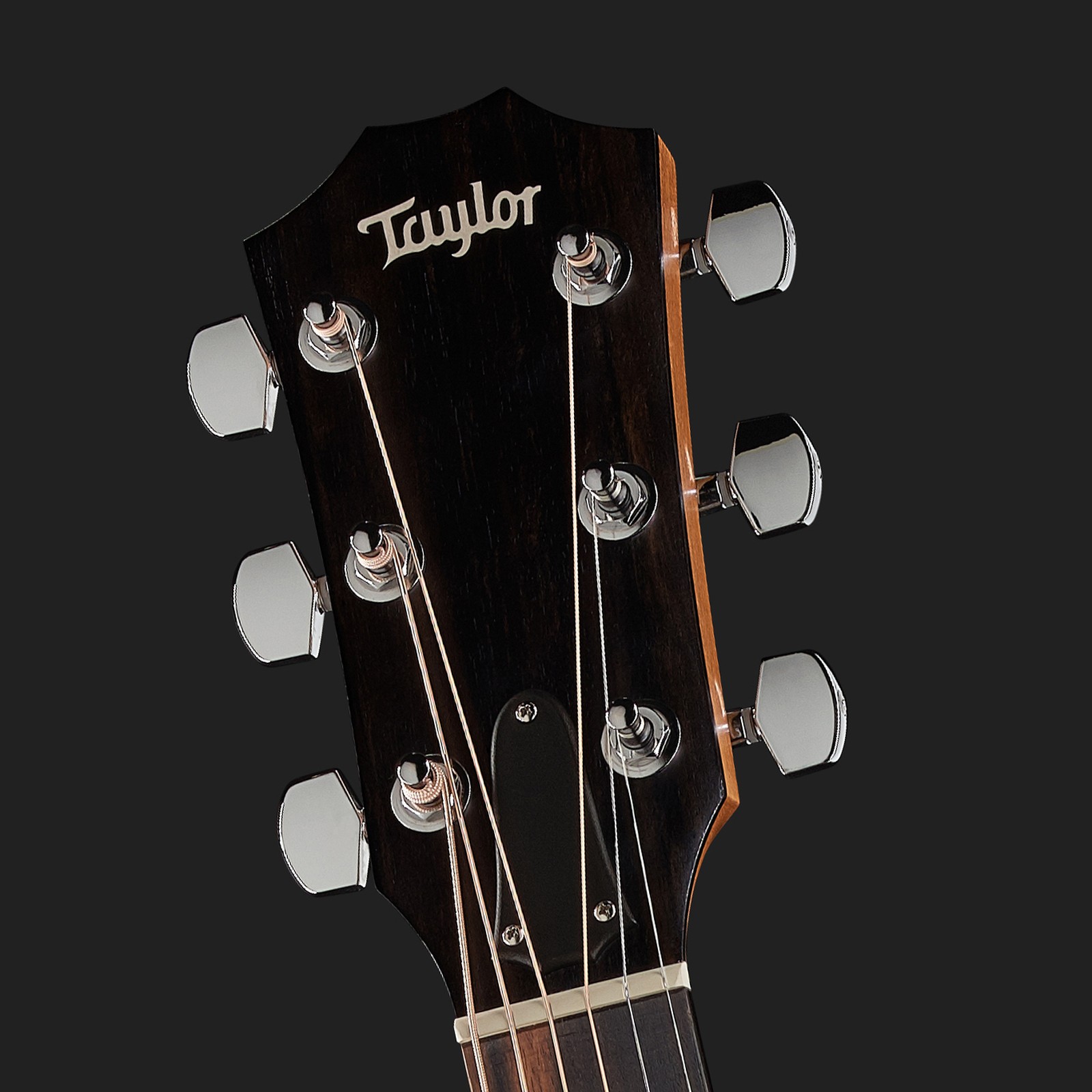 Taylor 214ce-Koa 2017 ギター Taylor 214ce Koa – United States