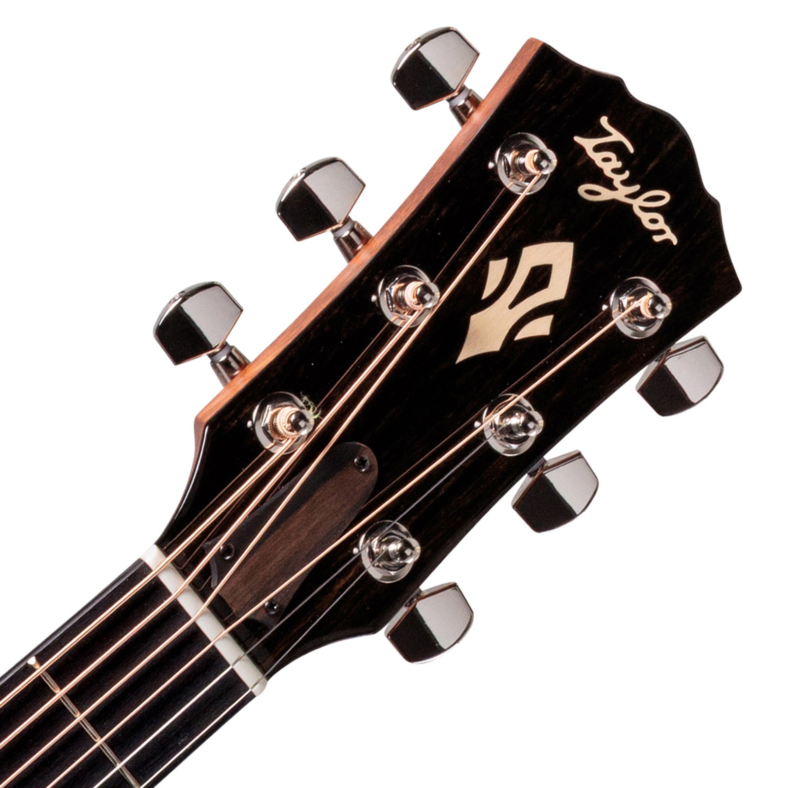 Taylor Gold Label 717e Sunburst Firestripe, acoustic steel-string, headstock
