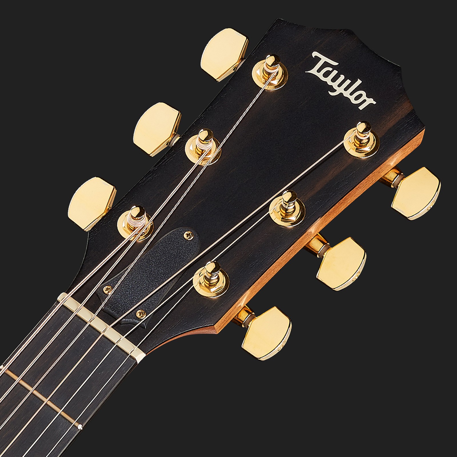 Kopfplatte der Taylor 224ce-K DLX Westerngitarre