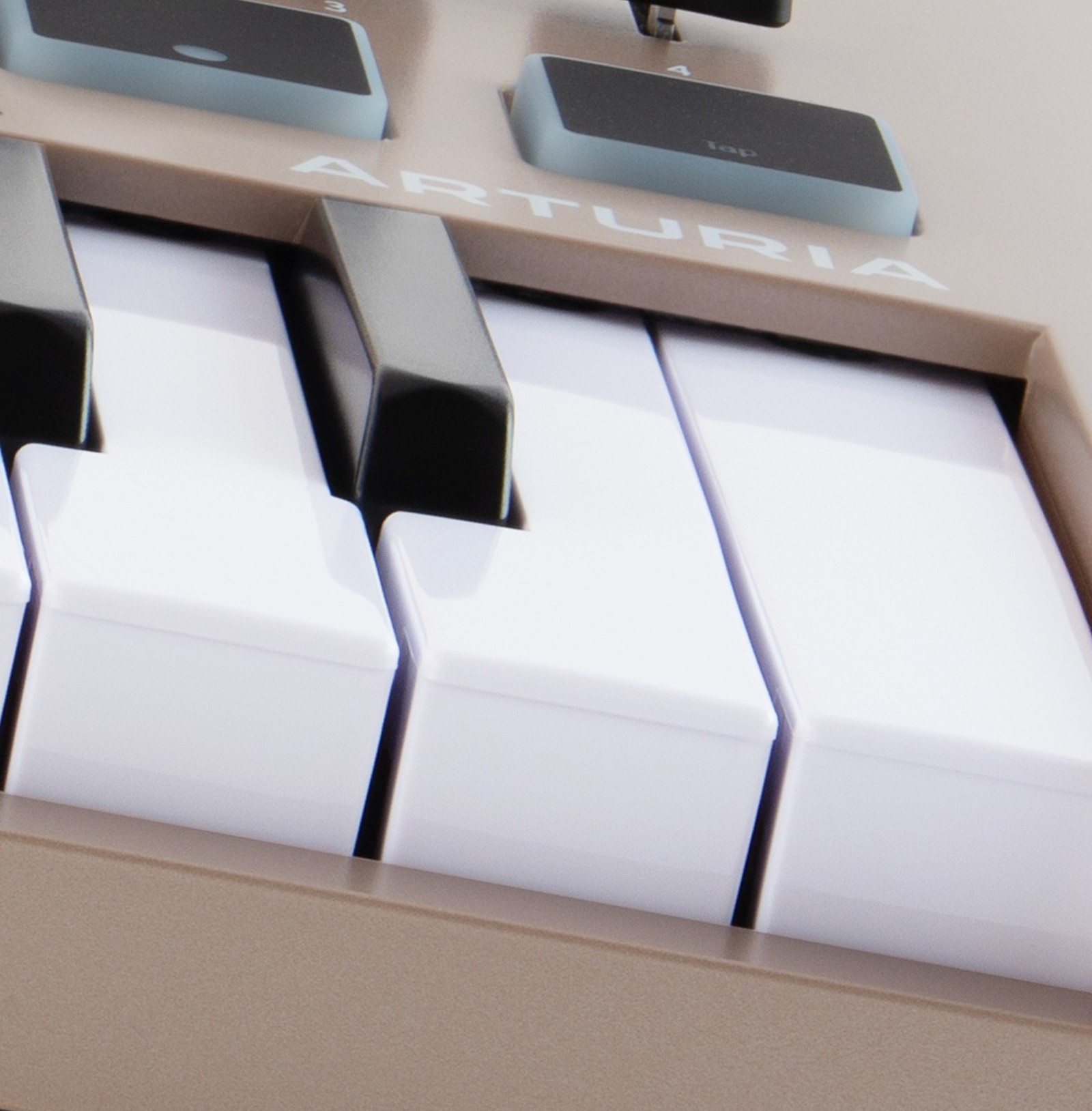 Arturia MiniLab 3 Champagne rear panel with connections