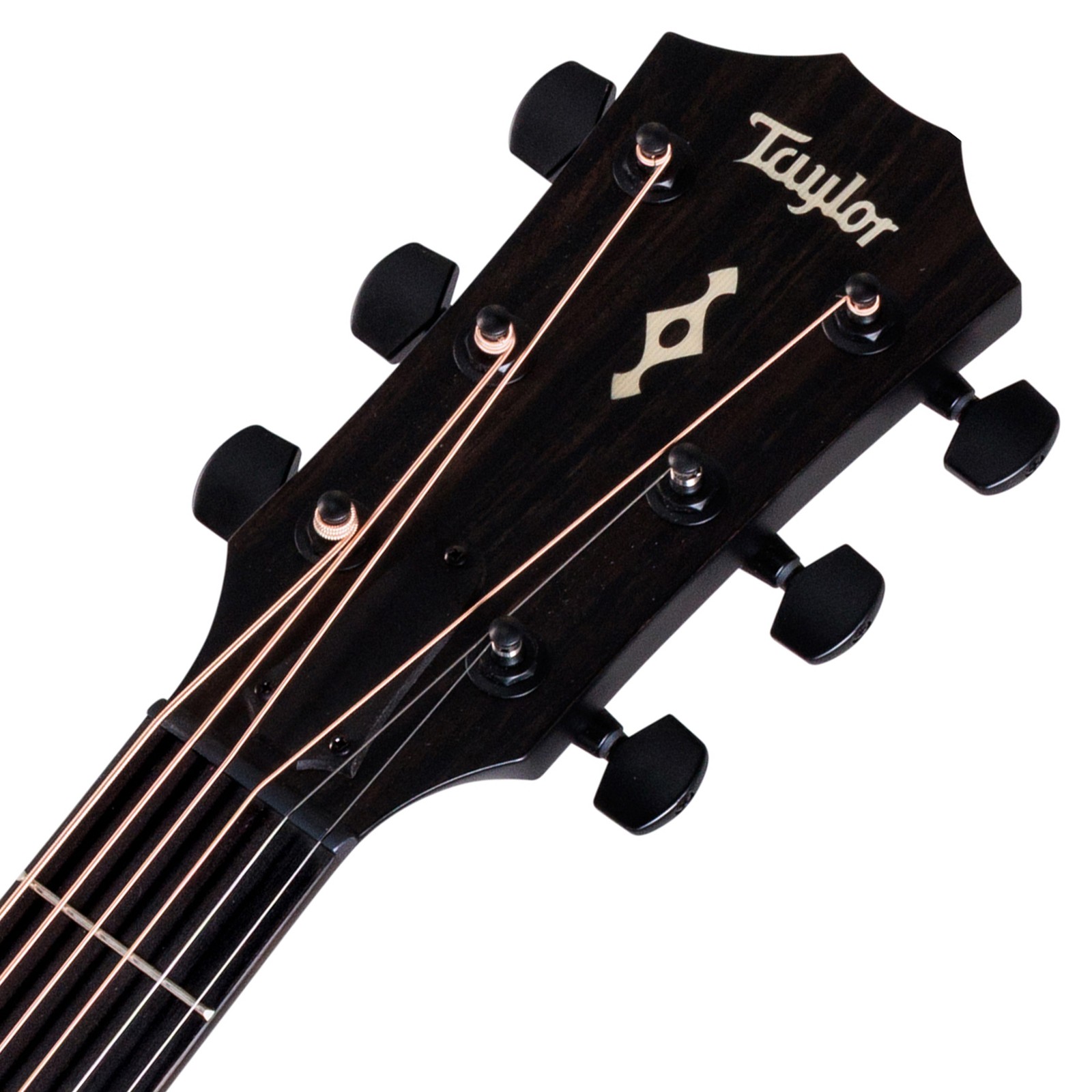 Kopfplatte der Taylor BE 324ce Next Generation Westerngitarre