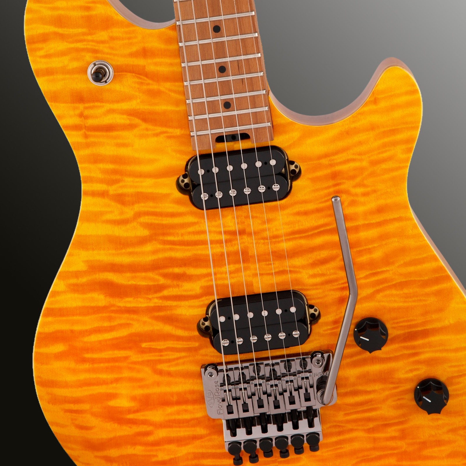 Humbucker in der Decke der Evh Wolfgang WG Std QM TA