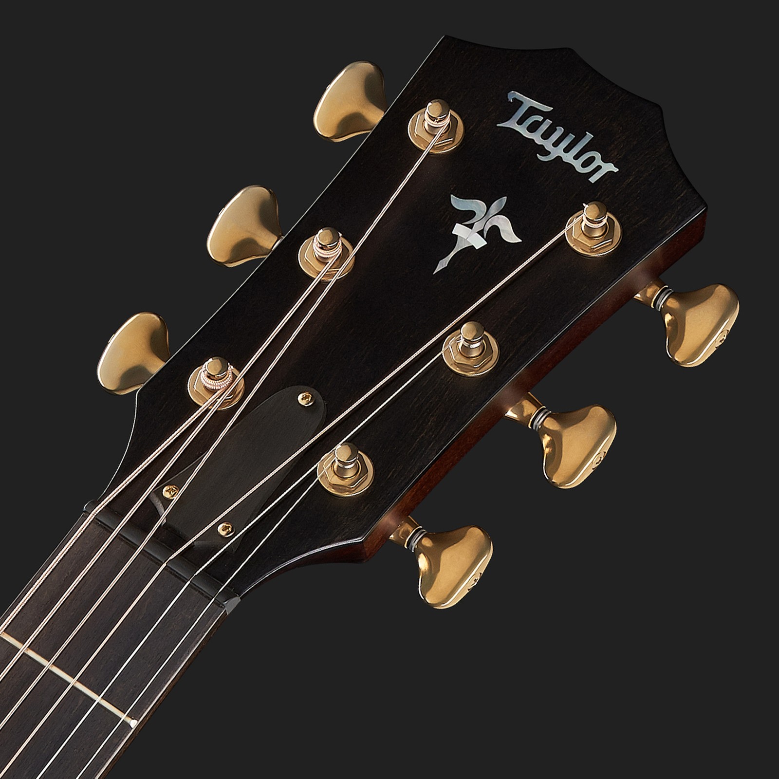 Kopfplatte der Taylor 614Ce Builders Edition WHB V-C Westerngitarre