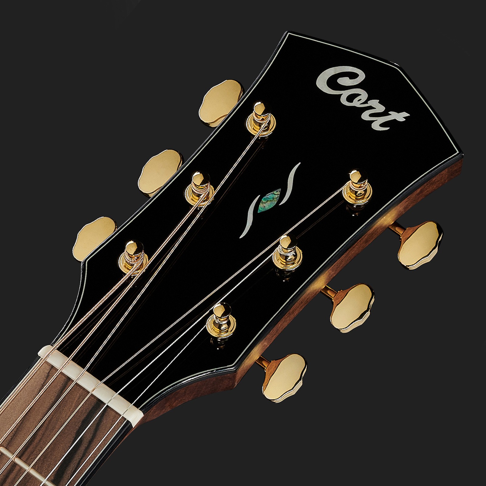 Cort Gold A6 Kopfplatte