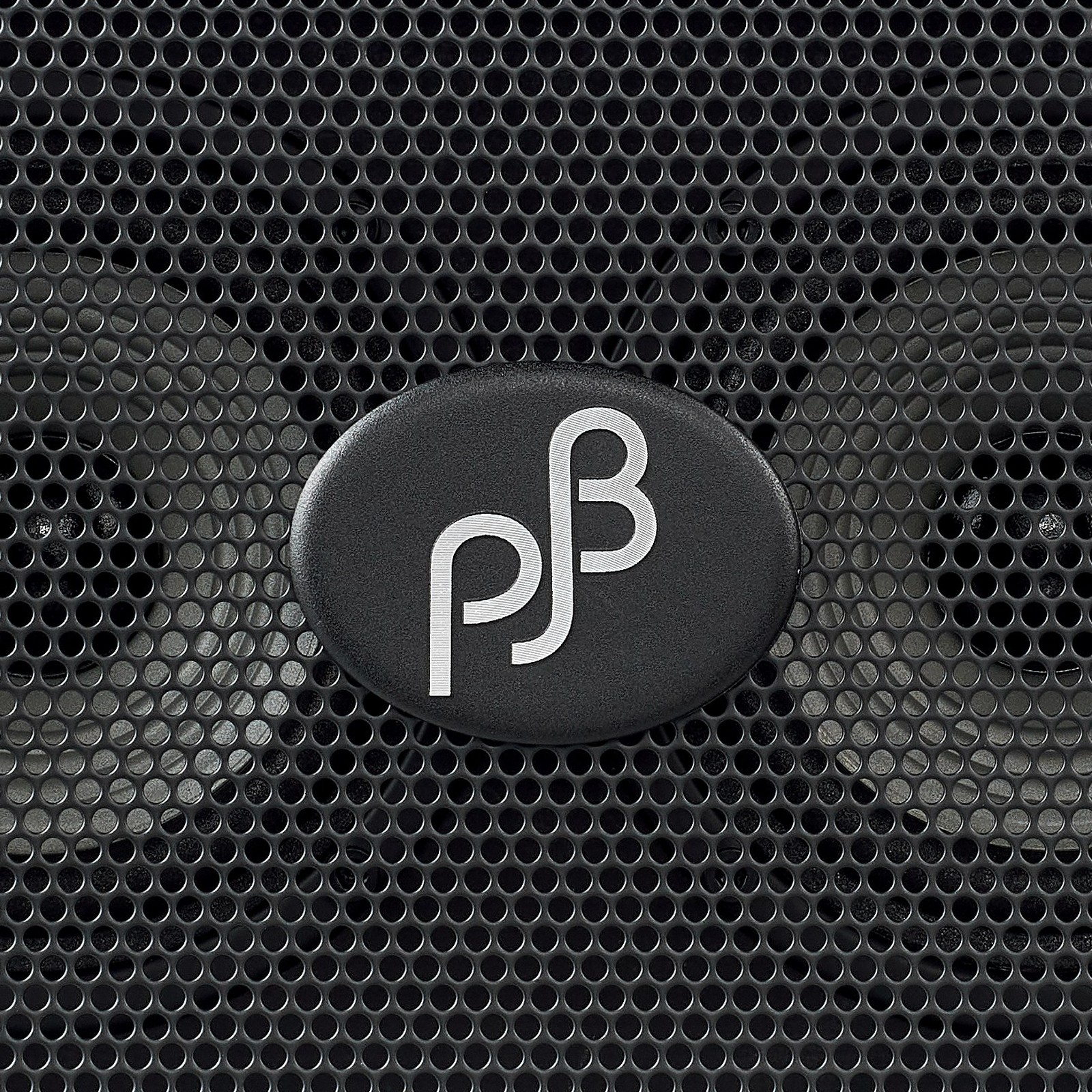 Phil Jones Bass Logo auf der Vorderseite zwischen den beiden Lautsprechern