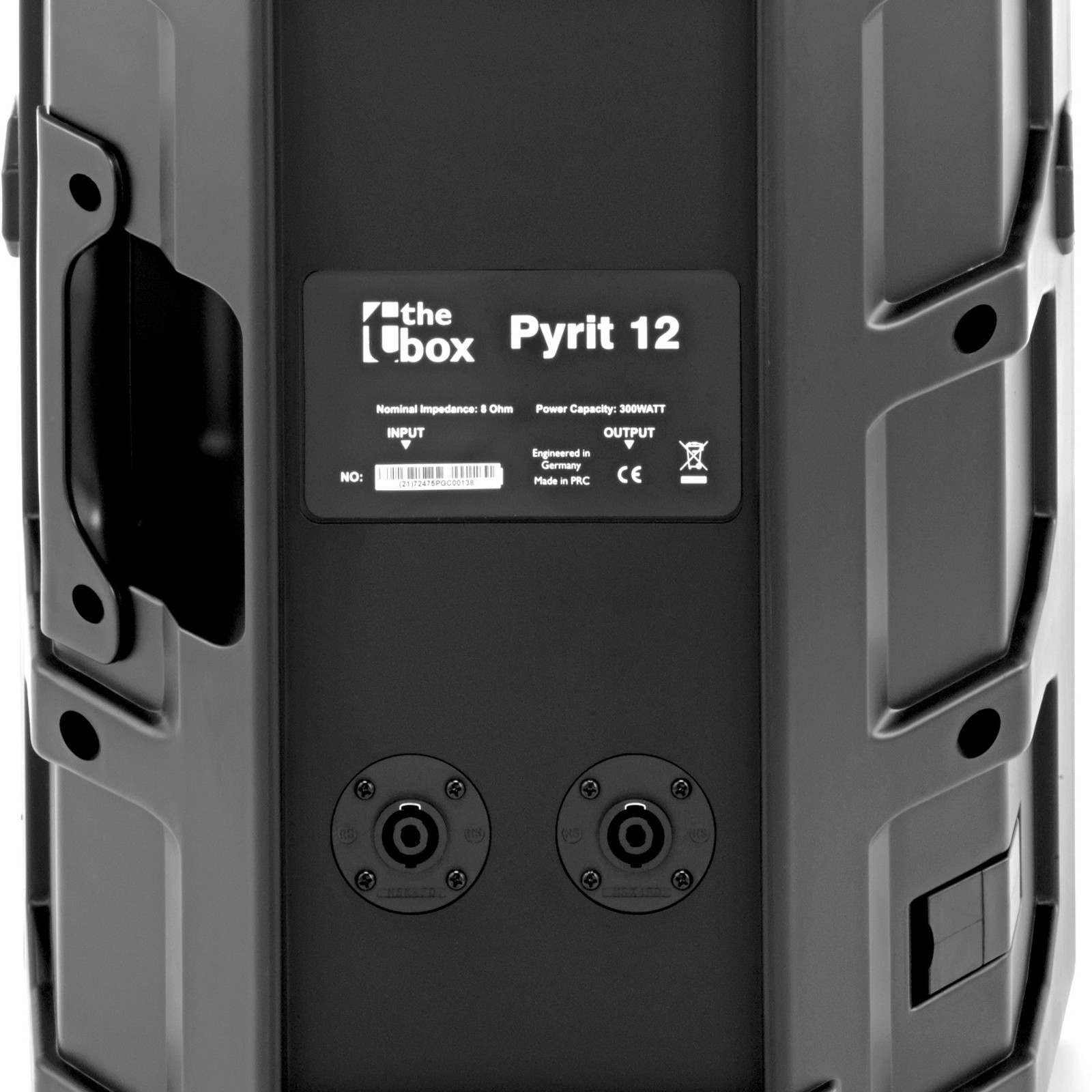 Anschlüsse am passiven the box Pyrit 12 High Power Fullrangelautsprecher