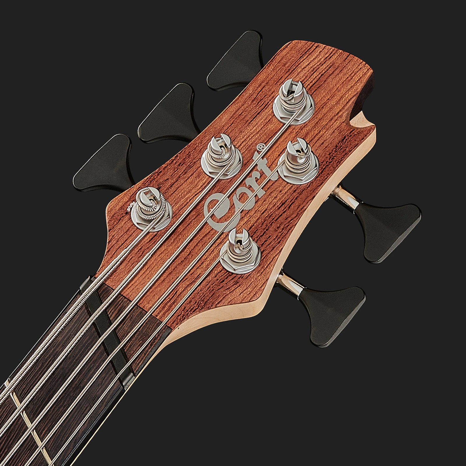 5-Saiter Bass Kopfplatte von Cort
