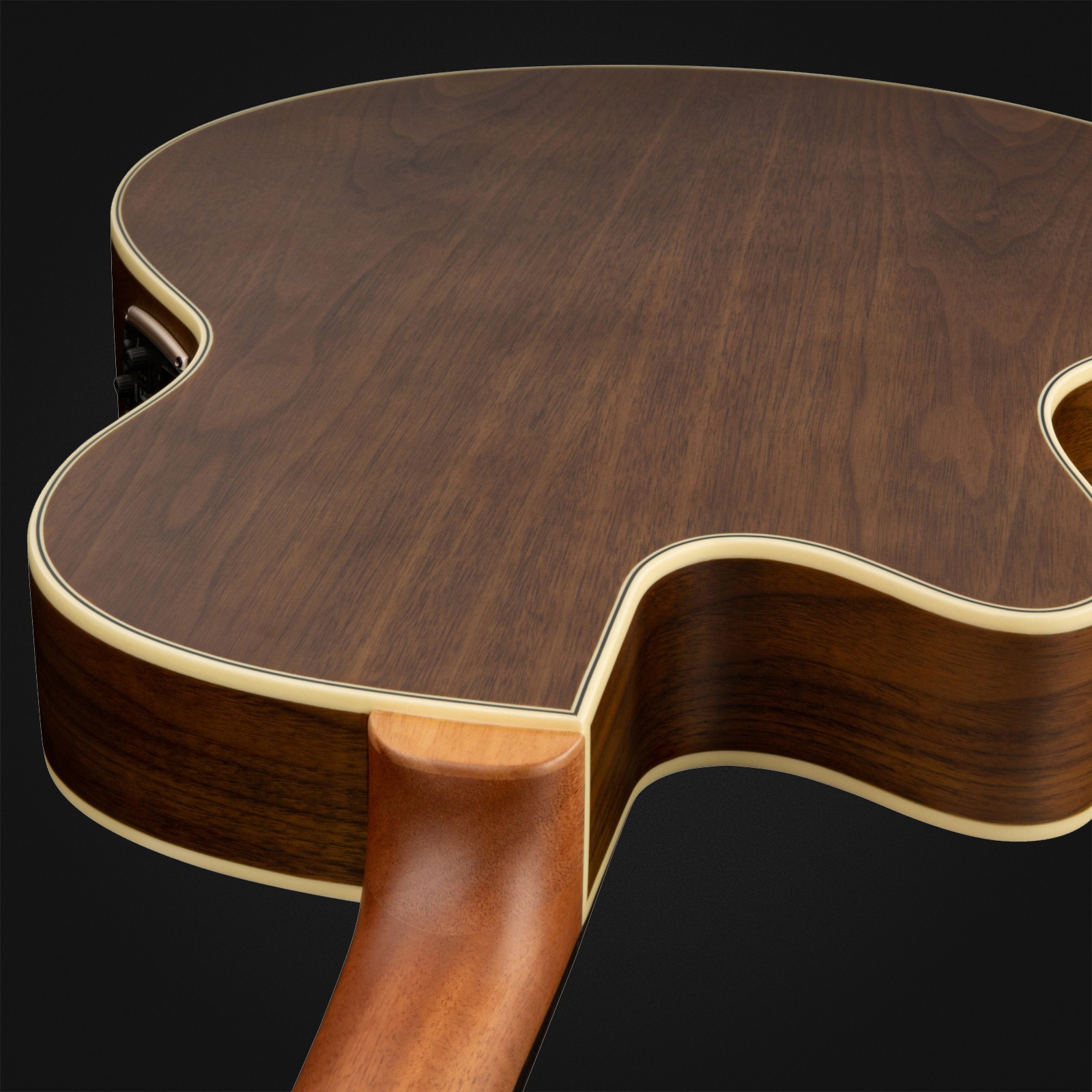 Rückseite des Warwick Alien Deluxe Hybrid 4 FL NT