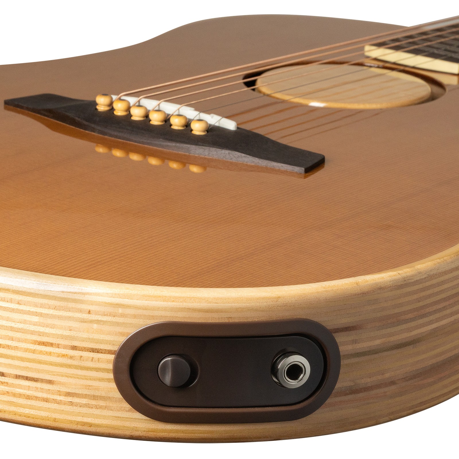 Buchse der L.R.Baggs AEG 1 E-Acoustic Torrefied Westerngitarre