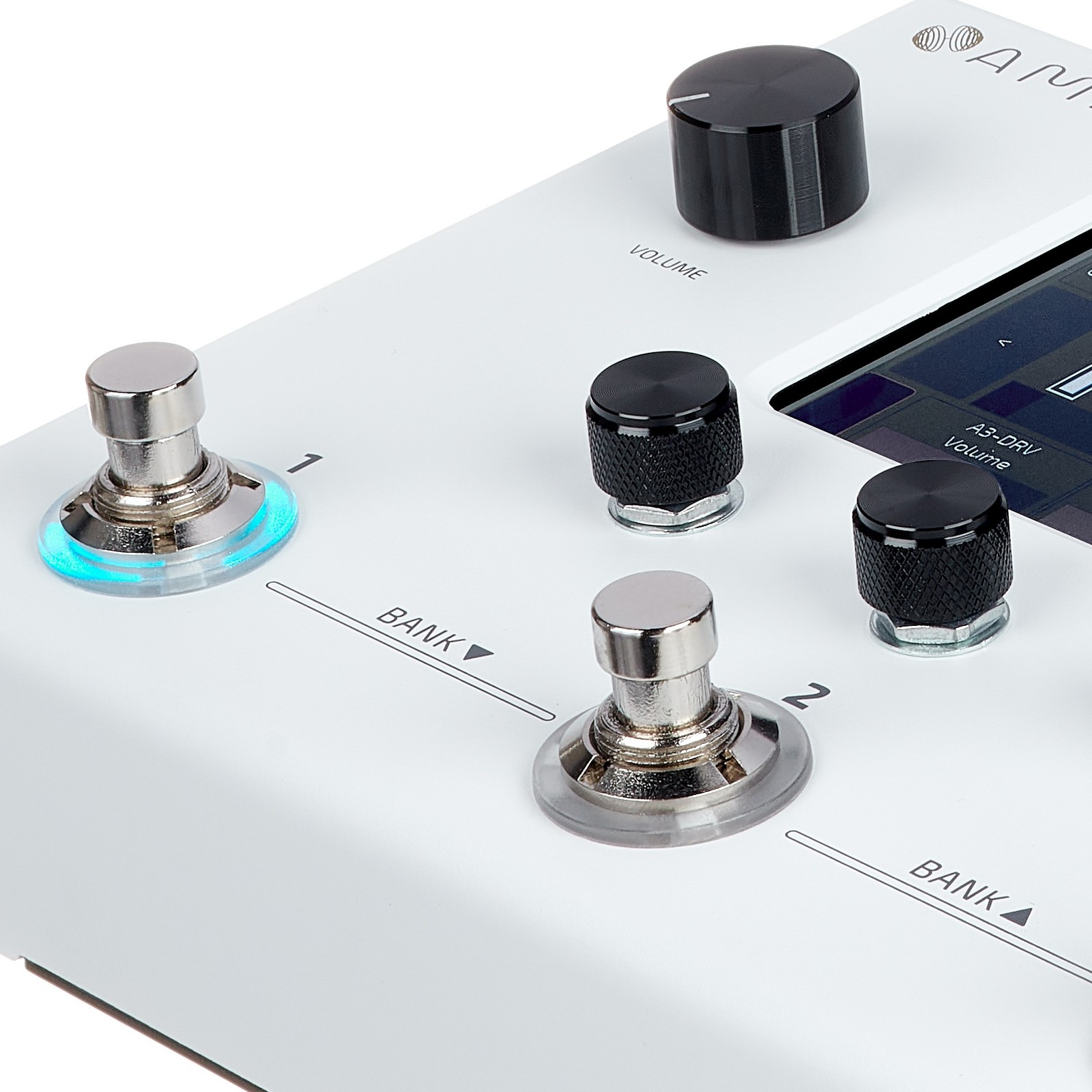 Schalter am Hotone Ampero II Stomp