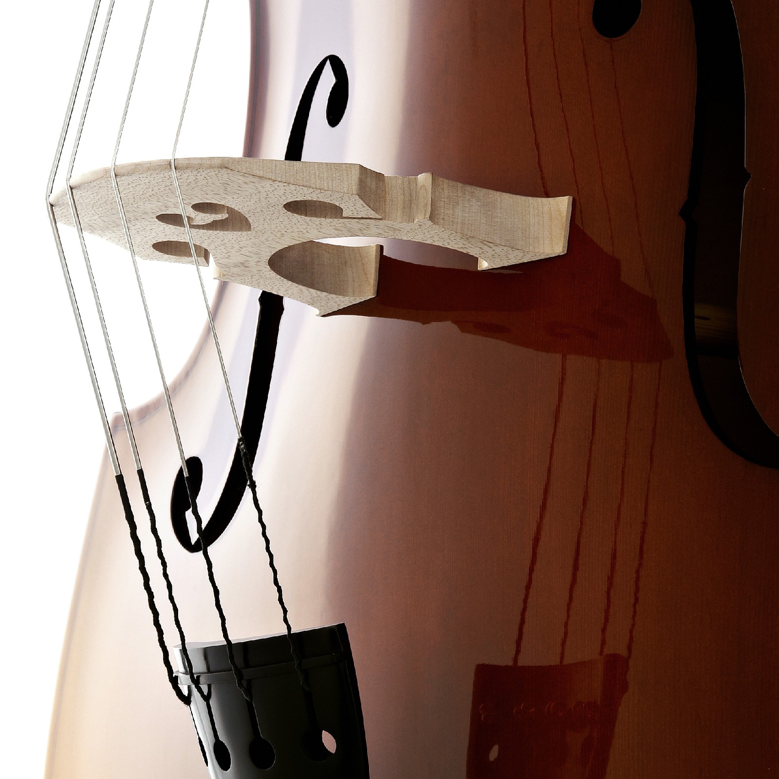 Thomann Slim Line Double Bass Europe 1 Korpus