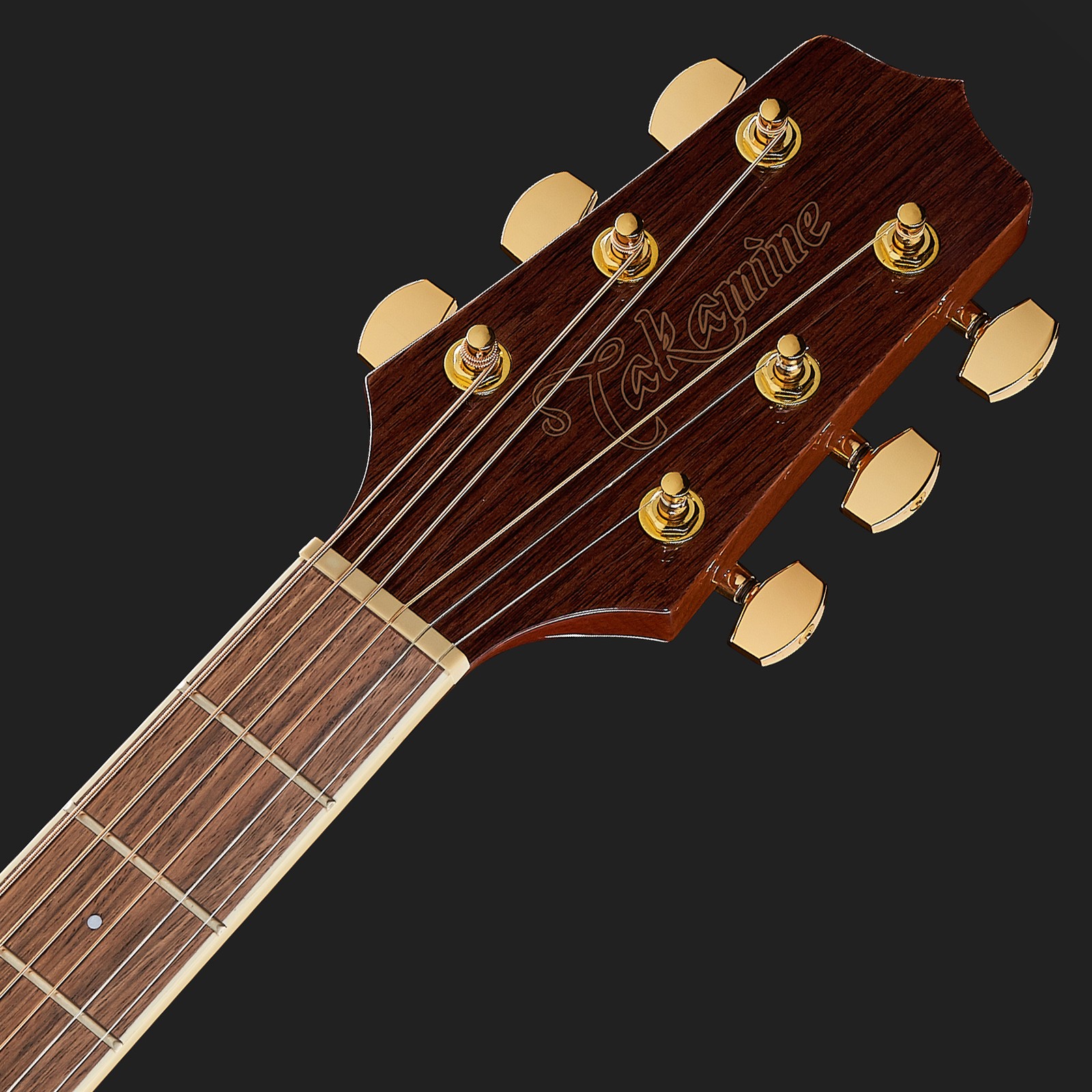 Takamine Kopfplatte und Griffbrett mit Binding