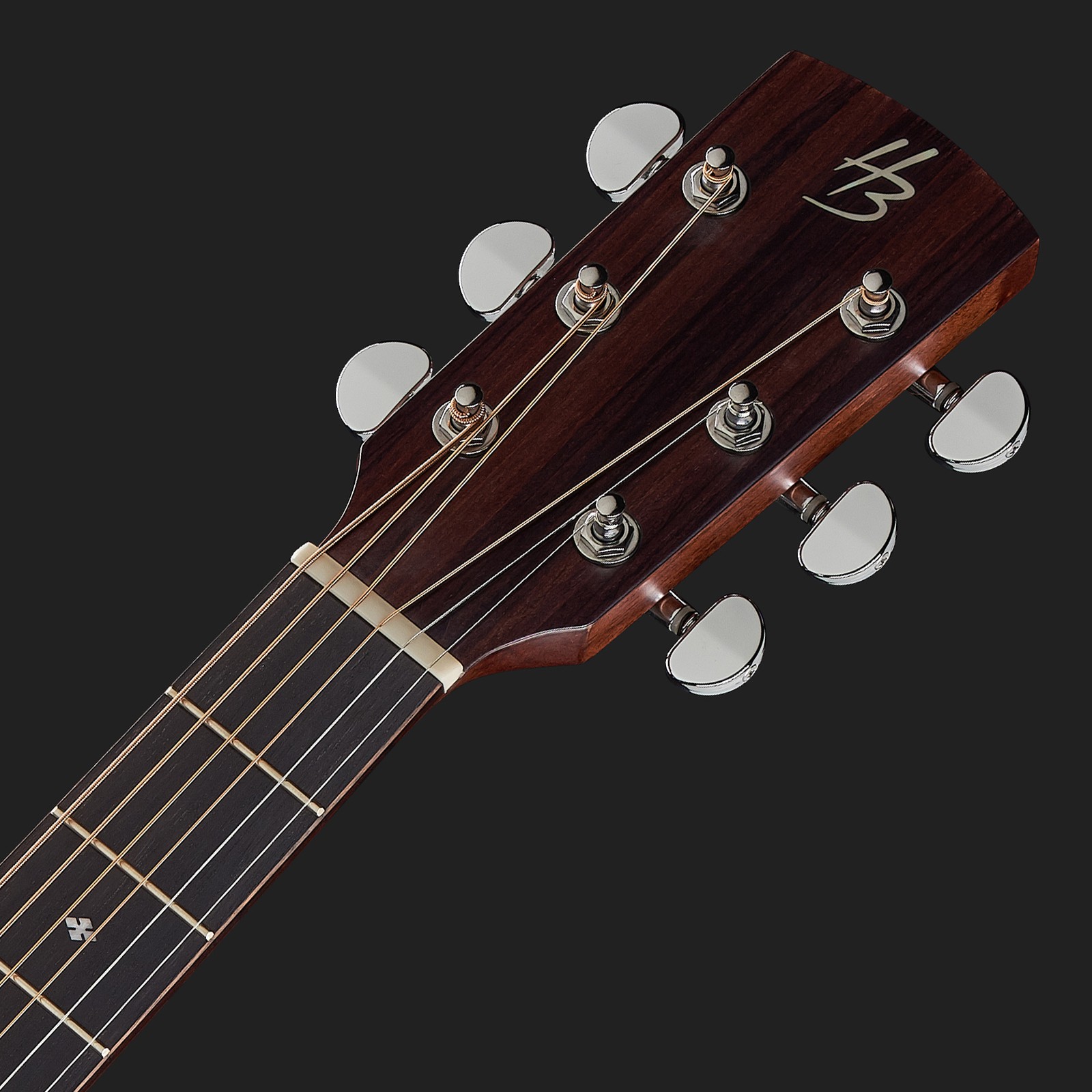 Harley Benton Custom Line CLD-15MCE headstock with logo