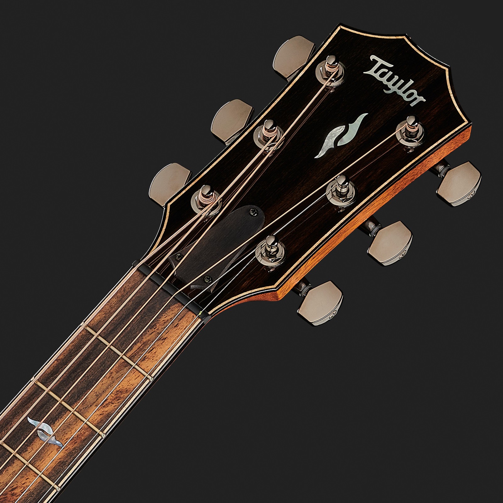 The Taylor 814ce folk guitar's soundboard and matt hardware