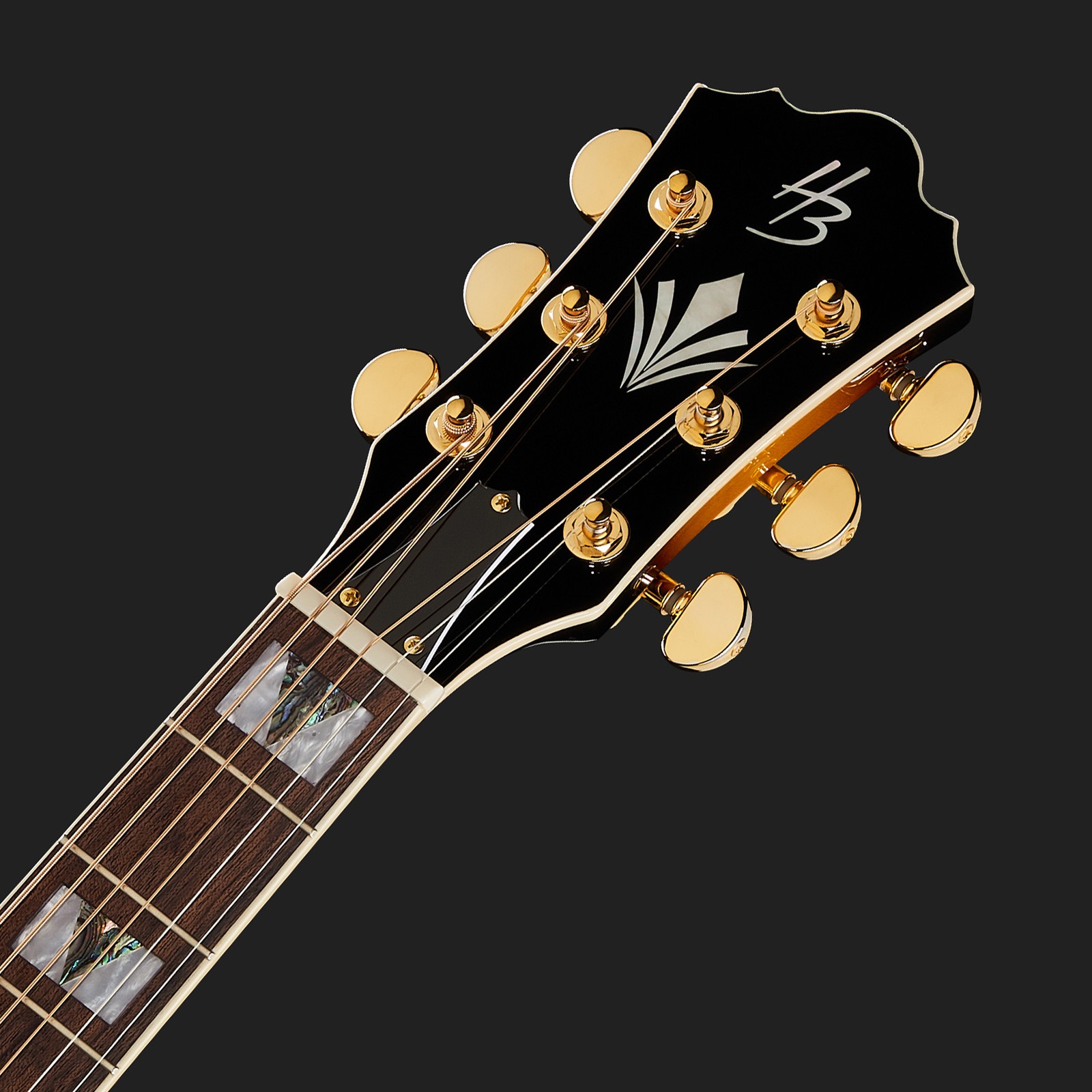 Kopfplatte mit HB-Logo und vergoldeten Mechaniken