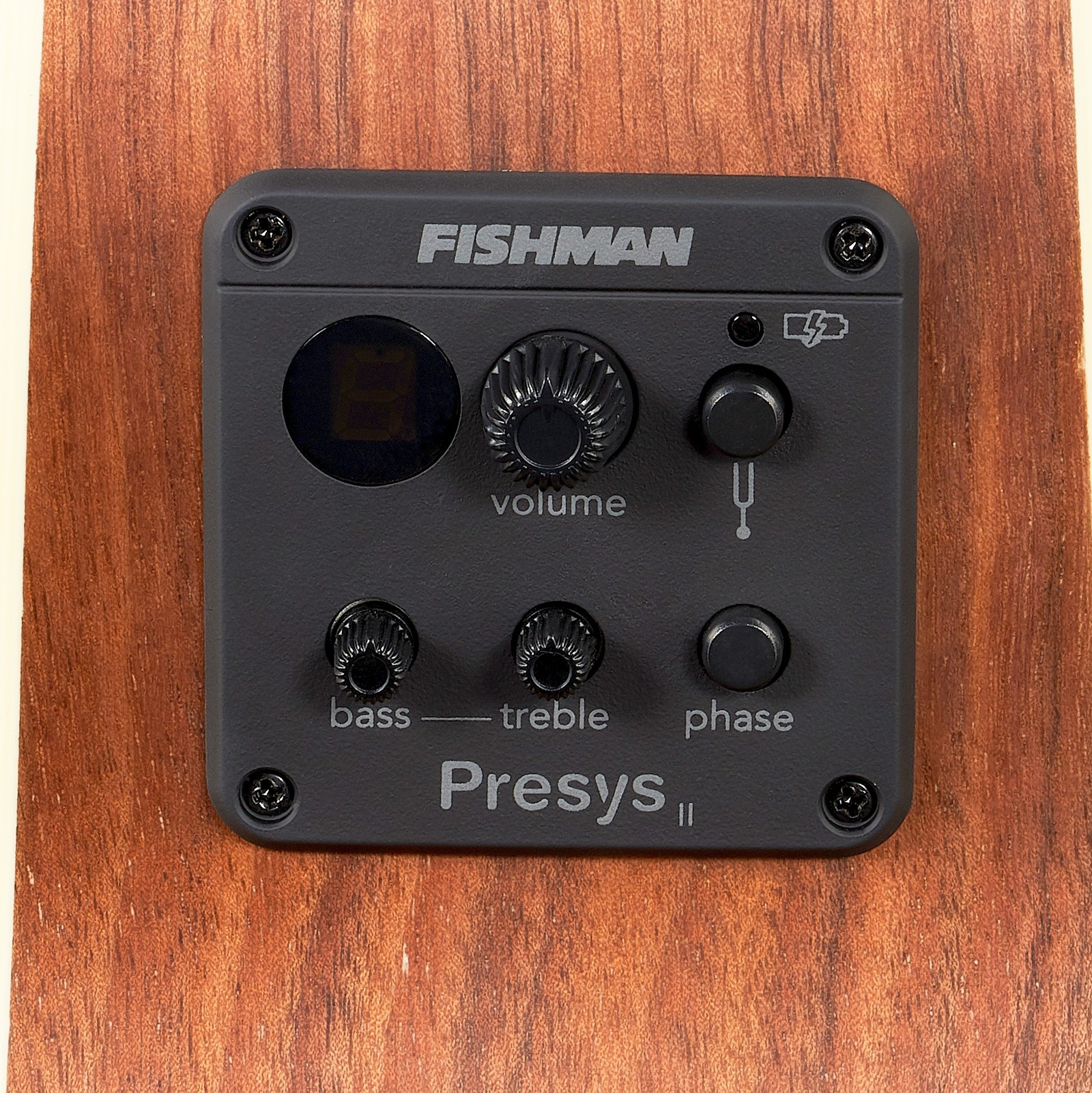 Harley Benton Akustikgitarre Fishman