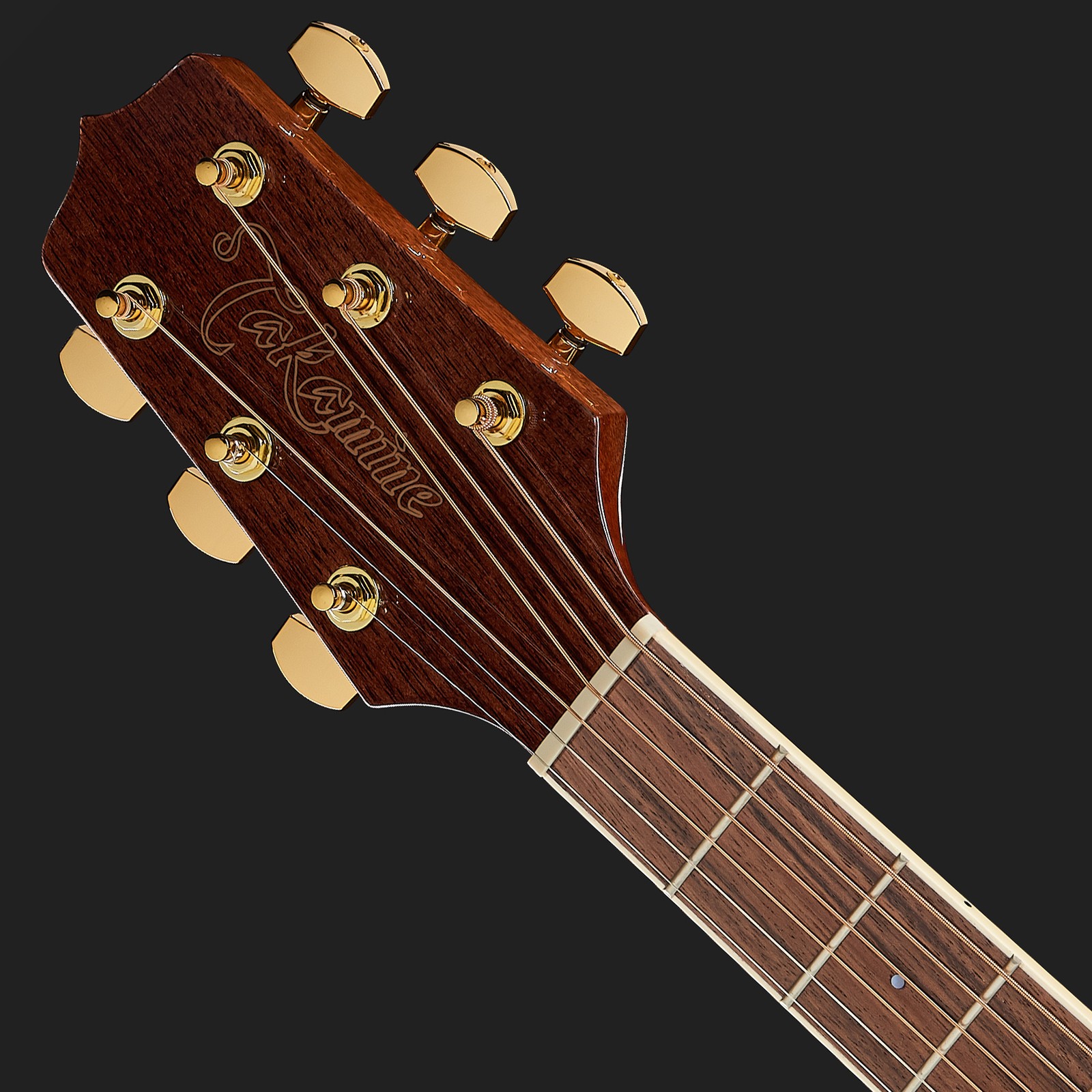 Takamine Kopfplatte und Griffbrett mit Binding