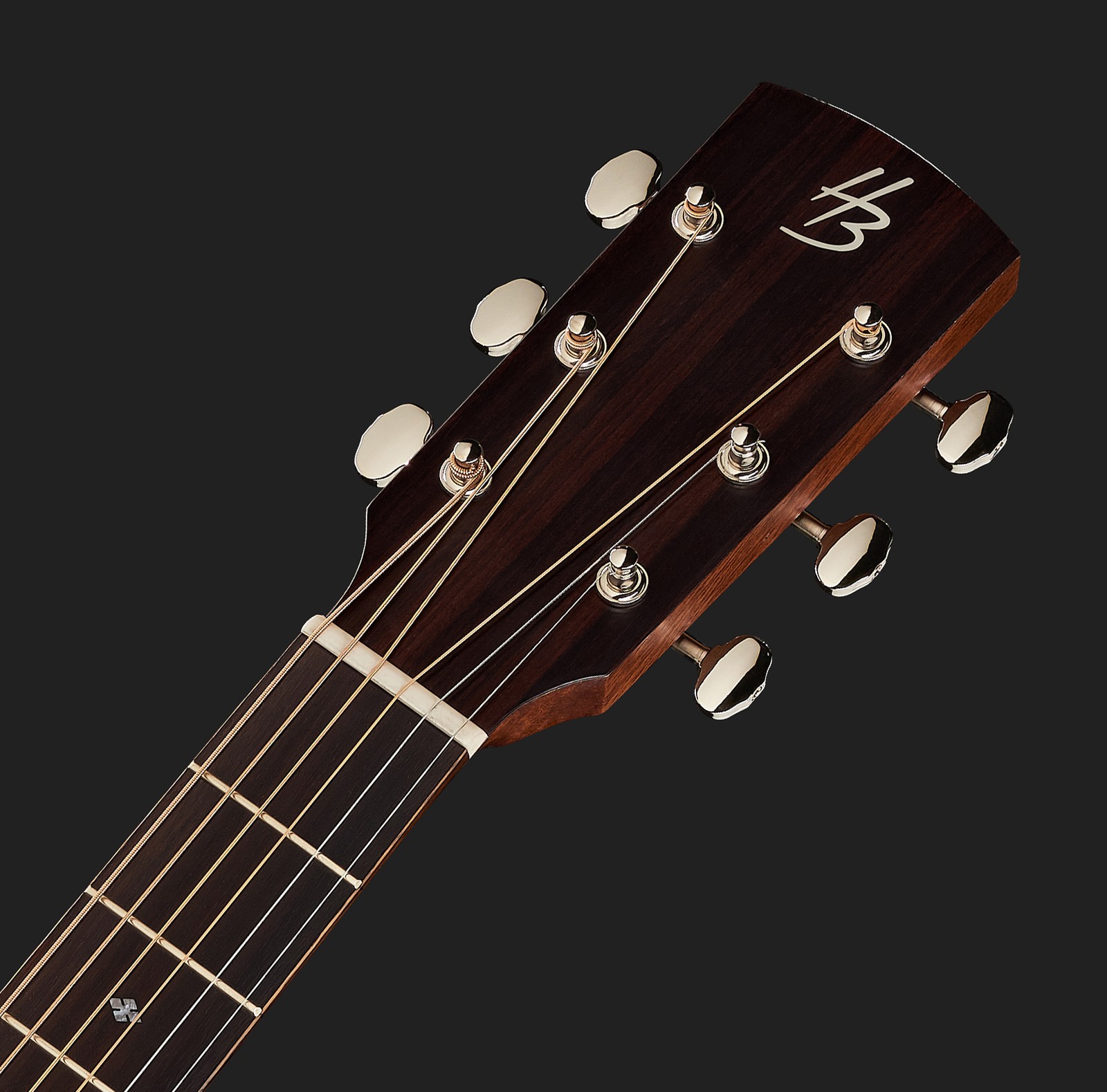 Harley Benton Akustikgitarre Kopfplatte