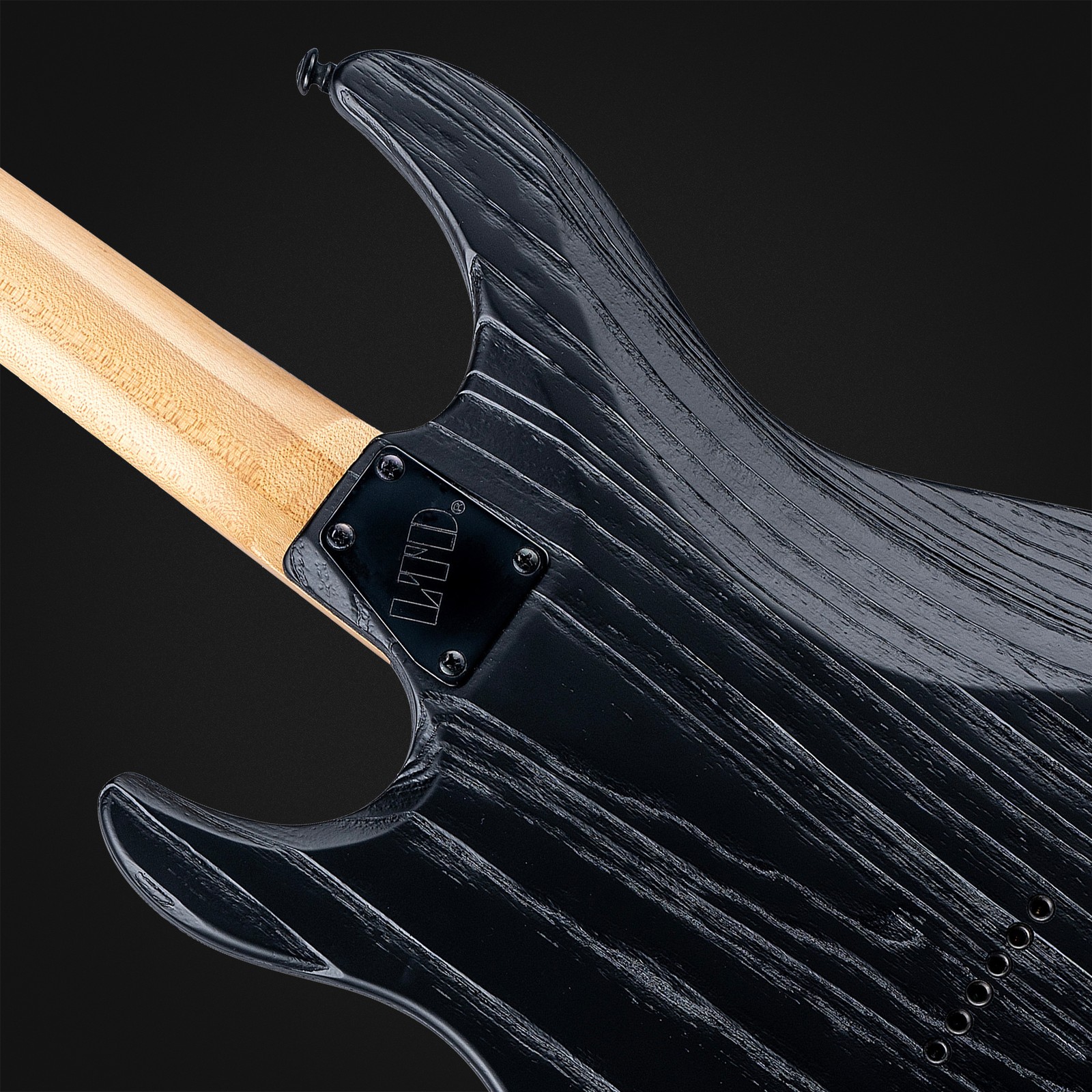 Rückseite der ESP LTD SN-1 HT BB REV